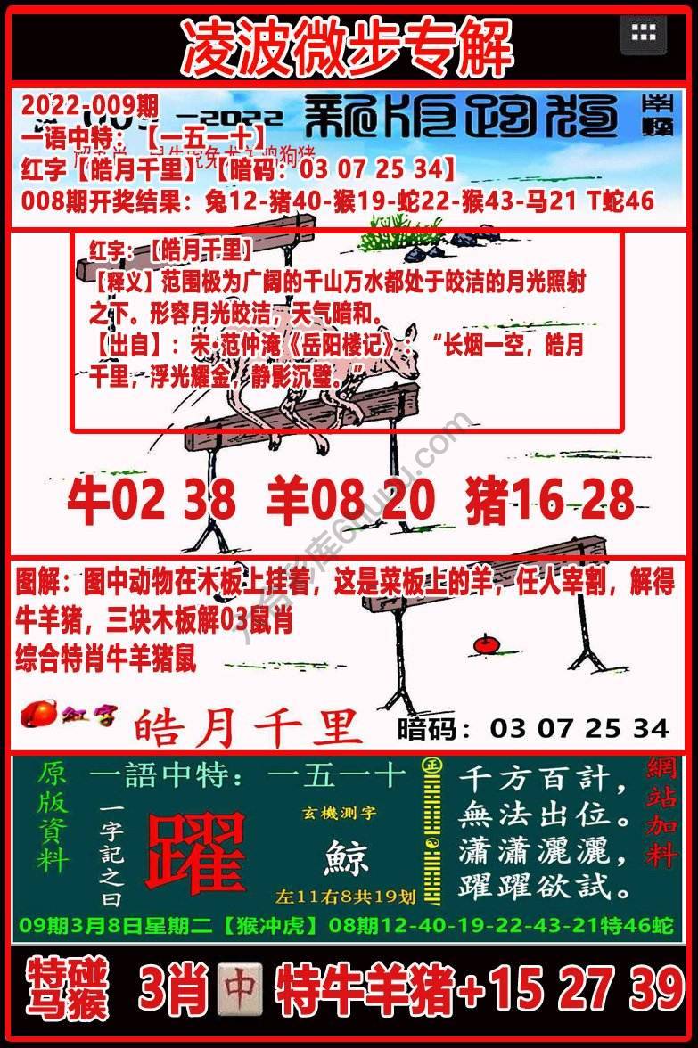 凌波微步解跑狗