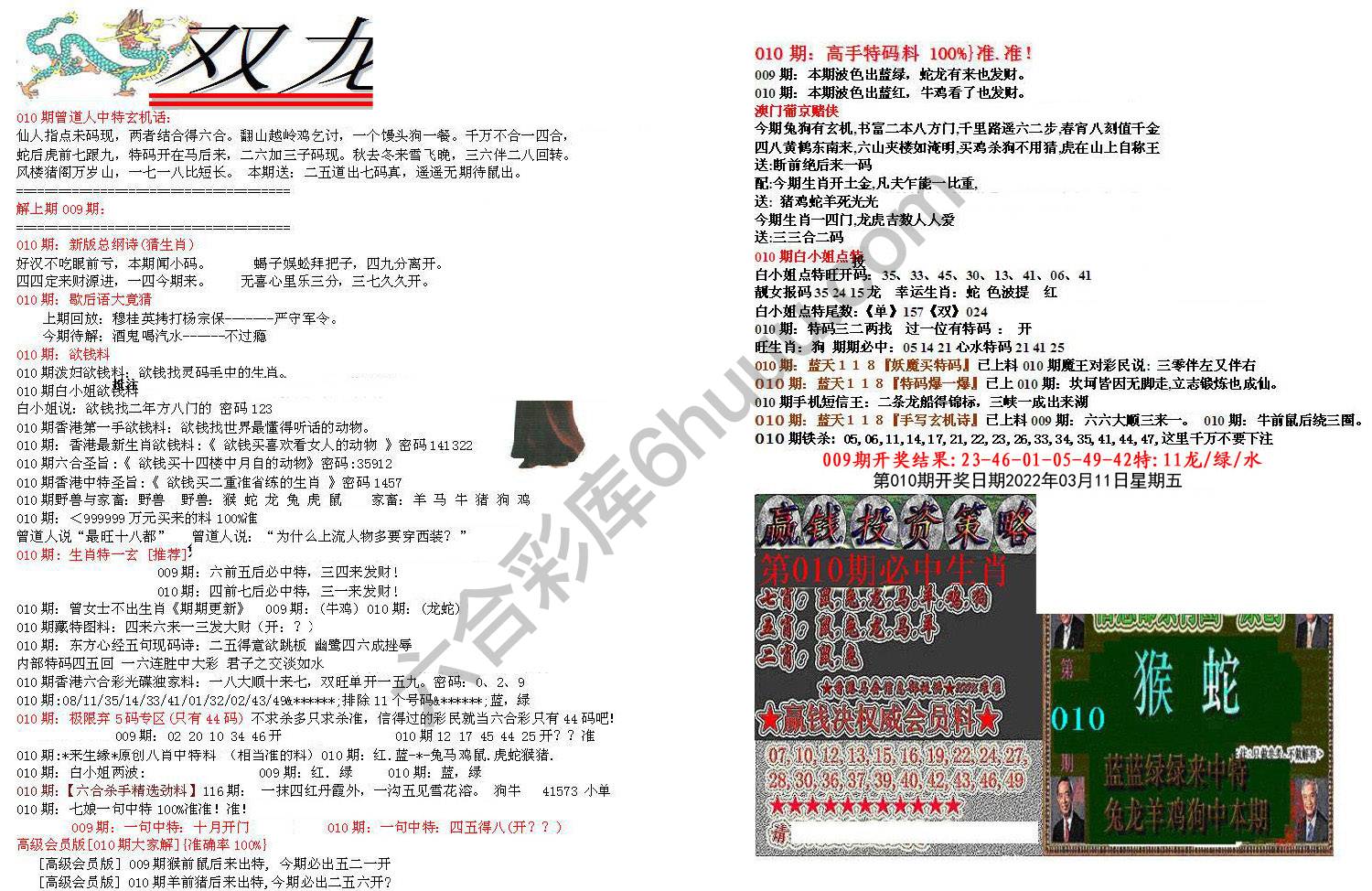 双龙报