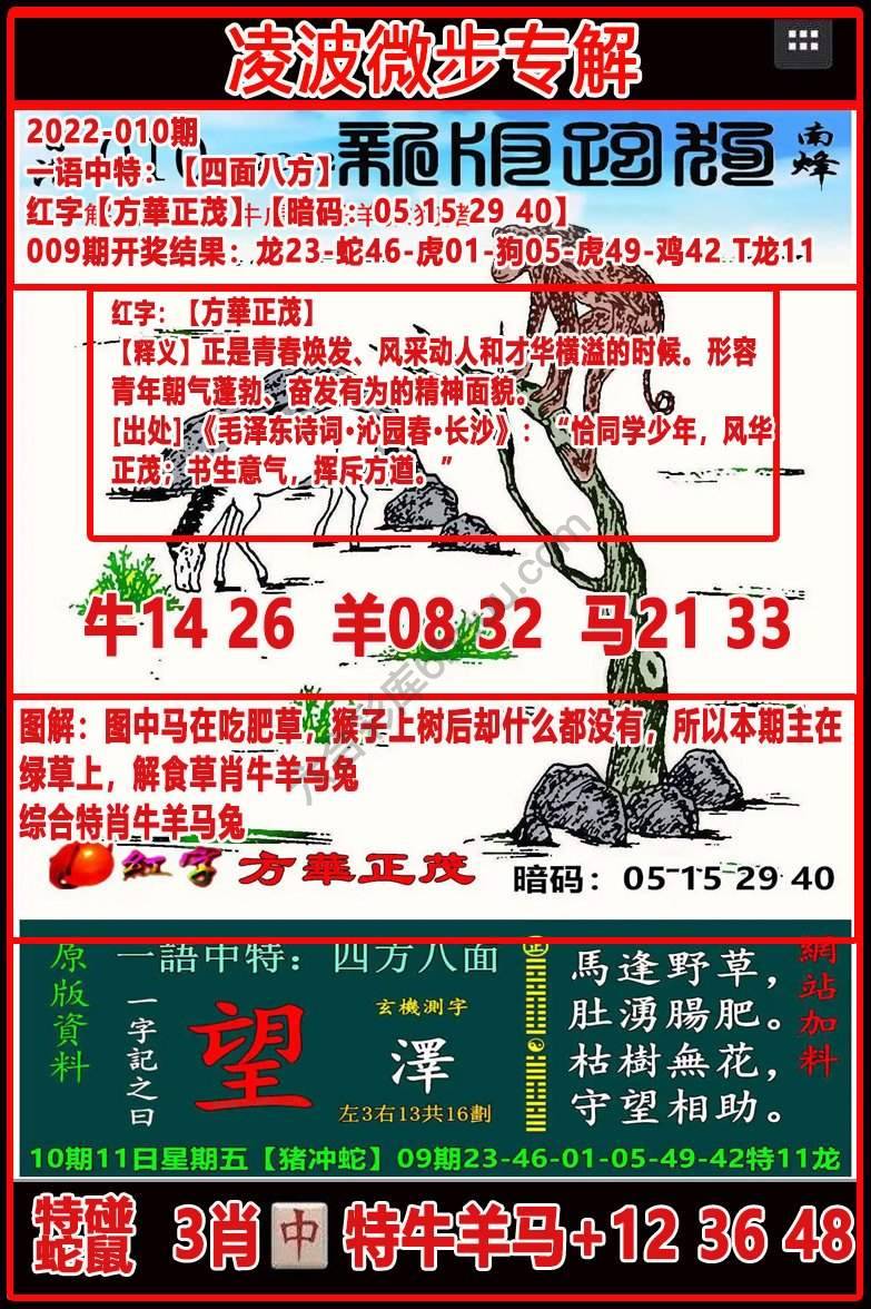 凌波微步解跑狗