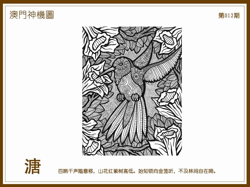澳门神机图