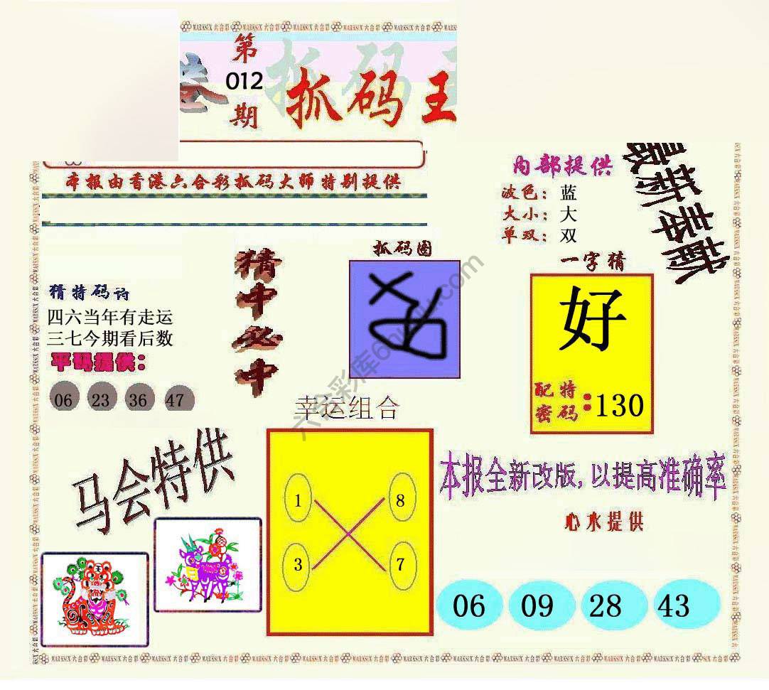 新抓码王