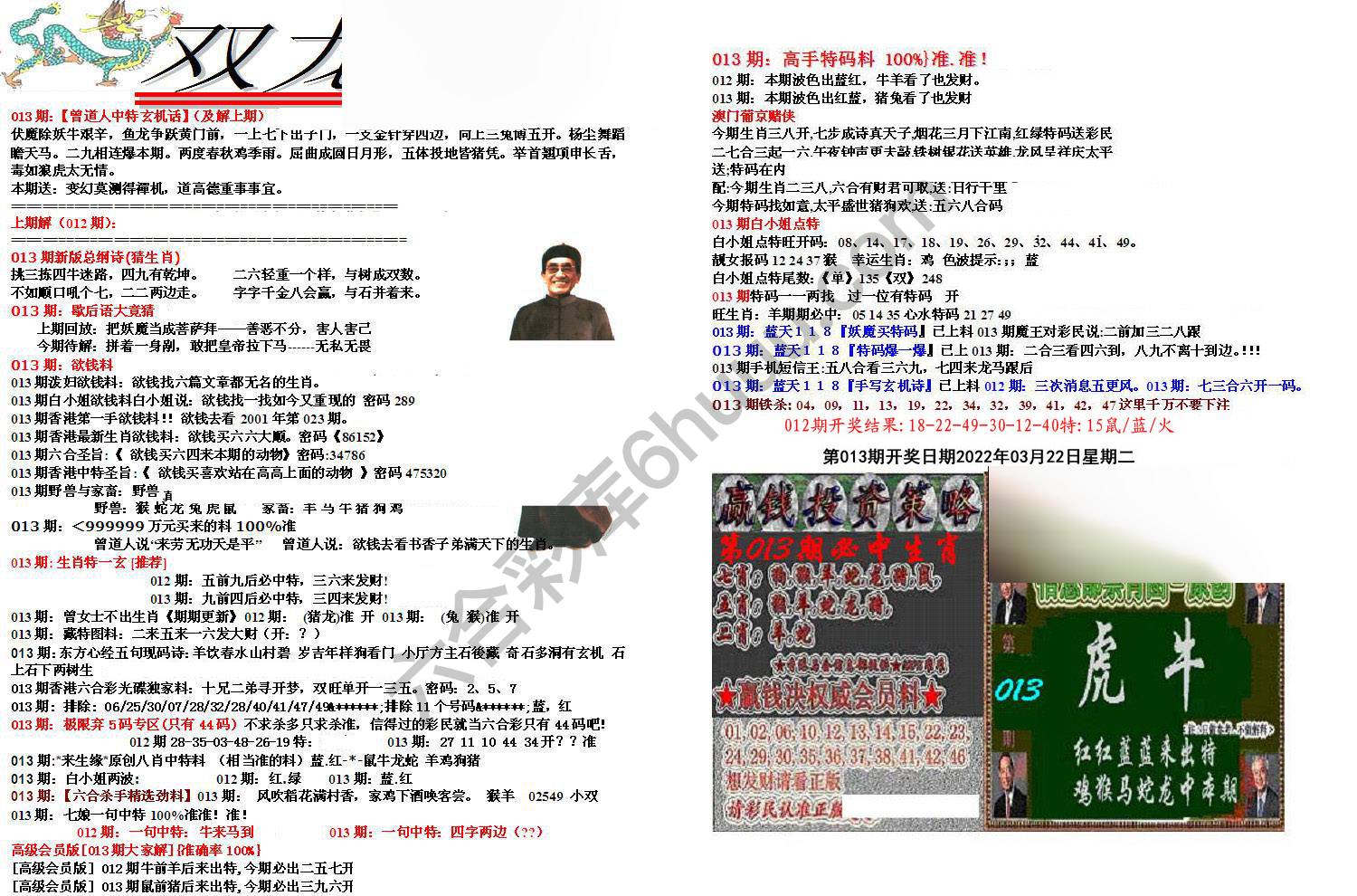 双龙报