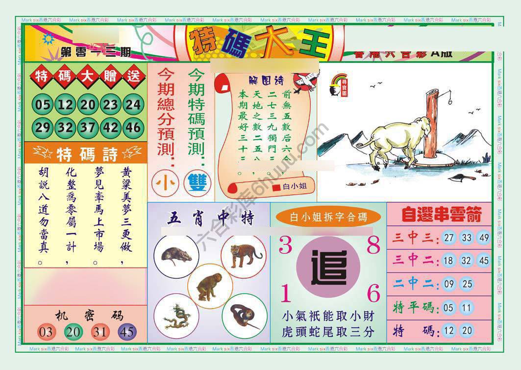 特码大王