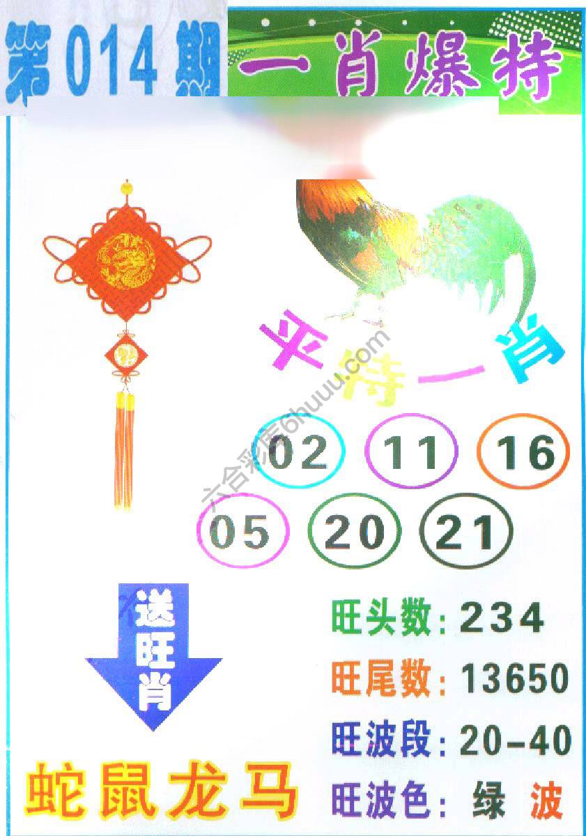 一肖爆特（新版）