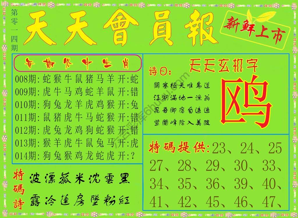 天天会员报