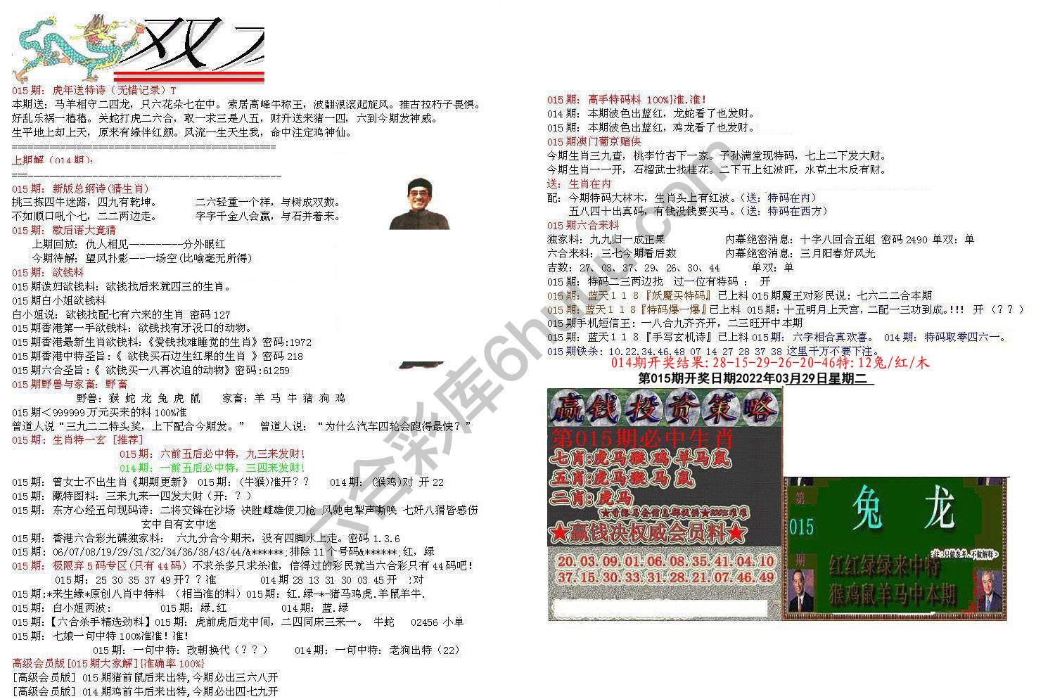 双龙报