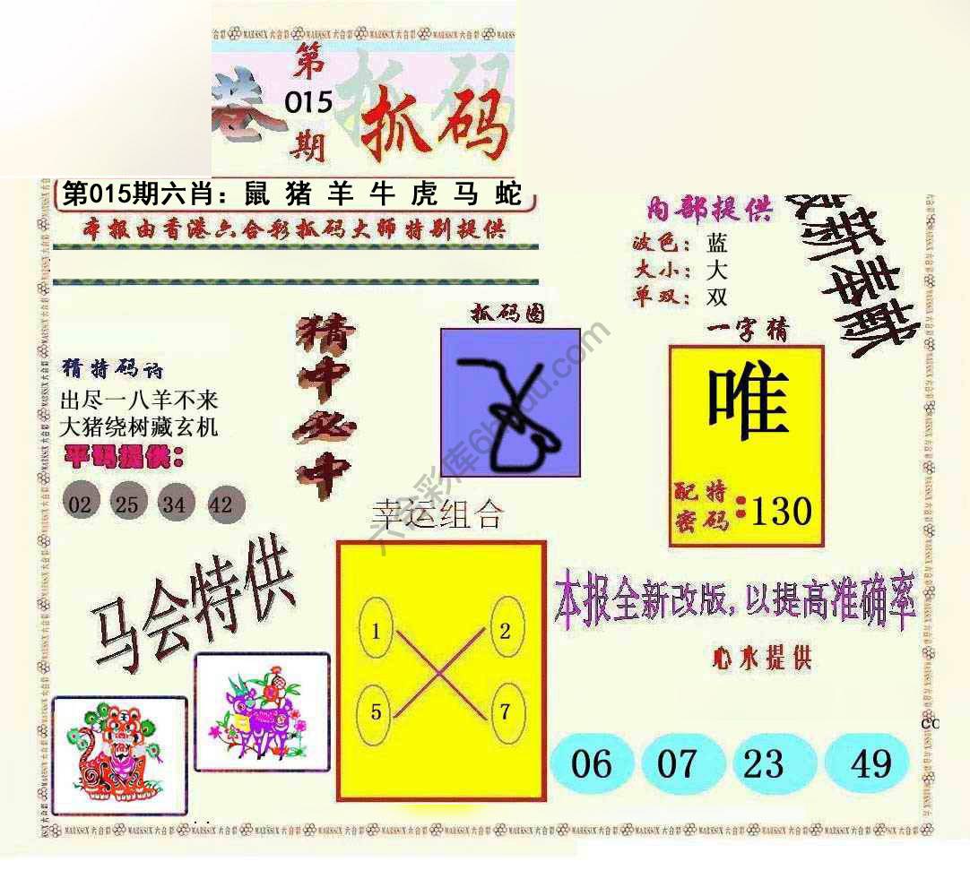 新抓码王