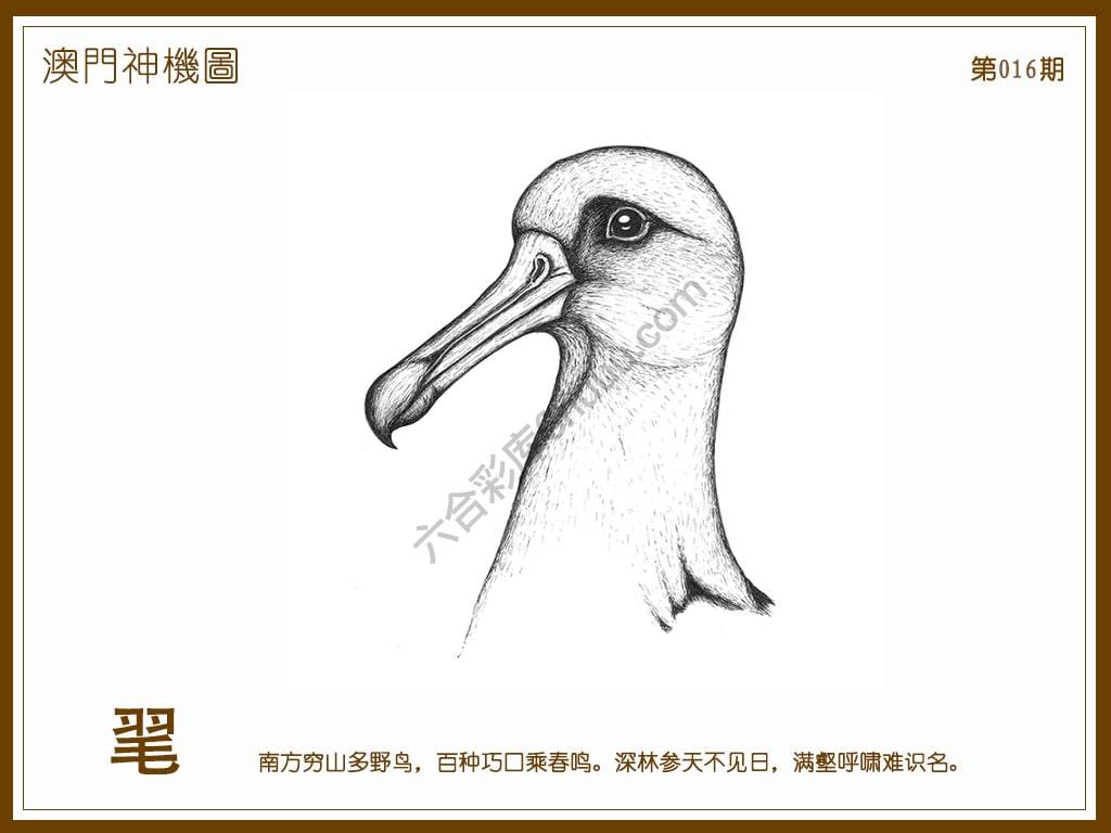澳门神机图