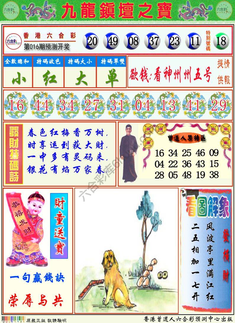 九龙挂牌解特码