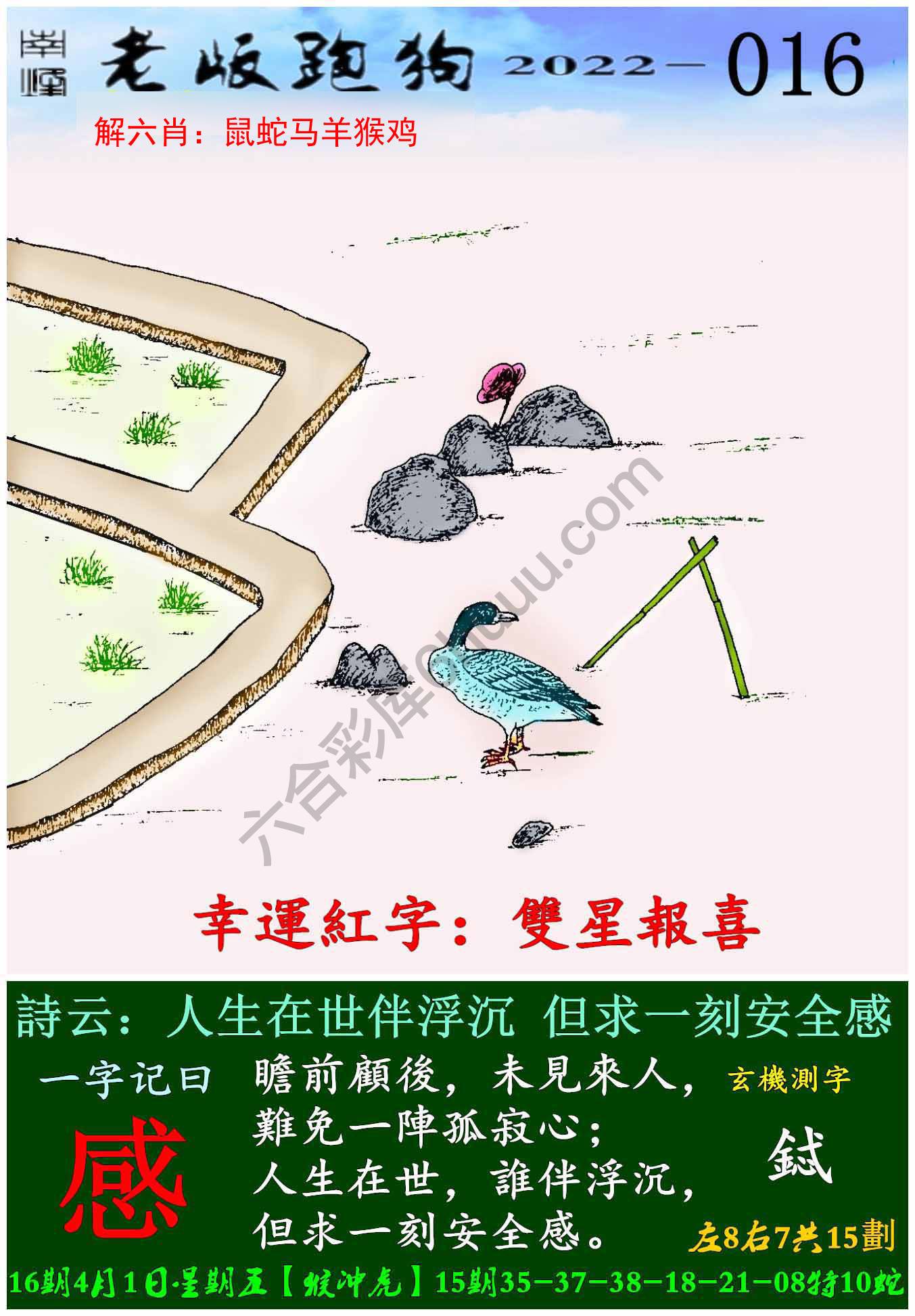 老版跑狗图