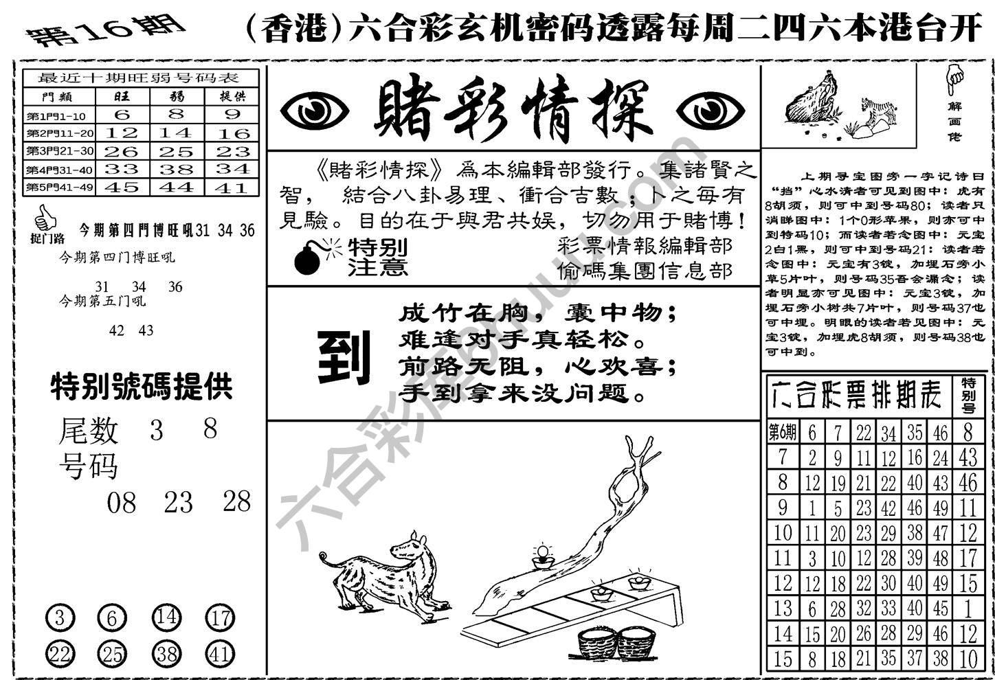 赌彩情探