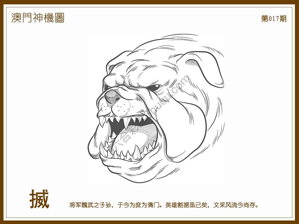 澳门神机图