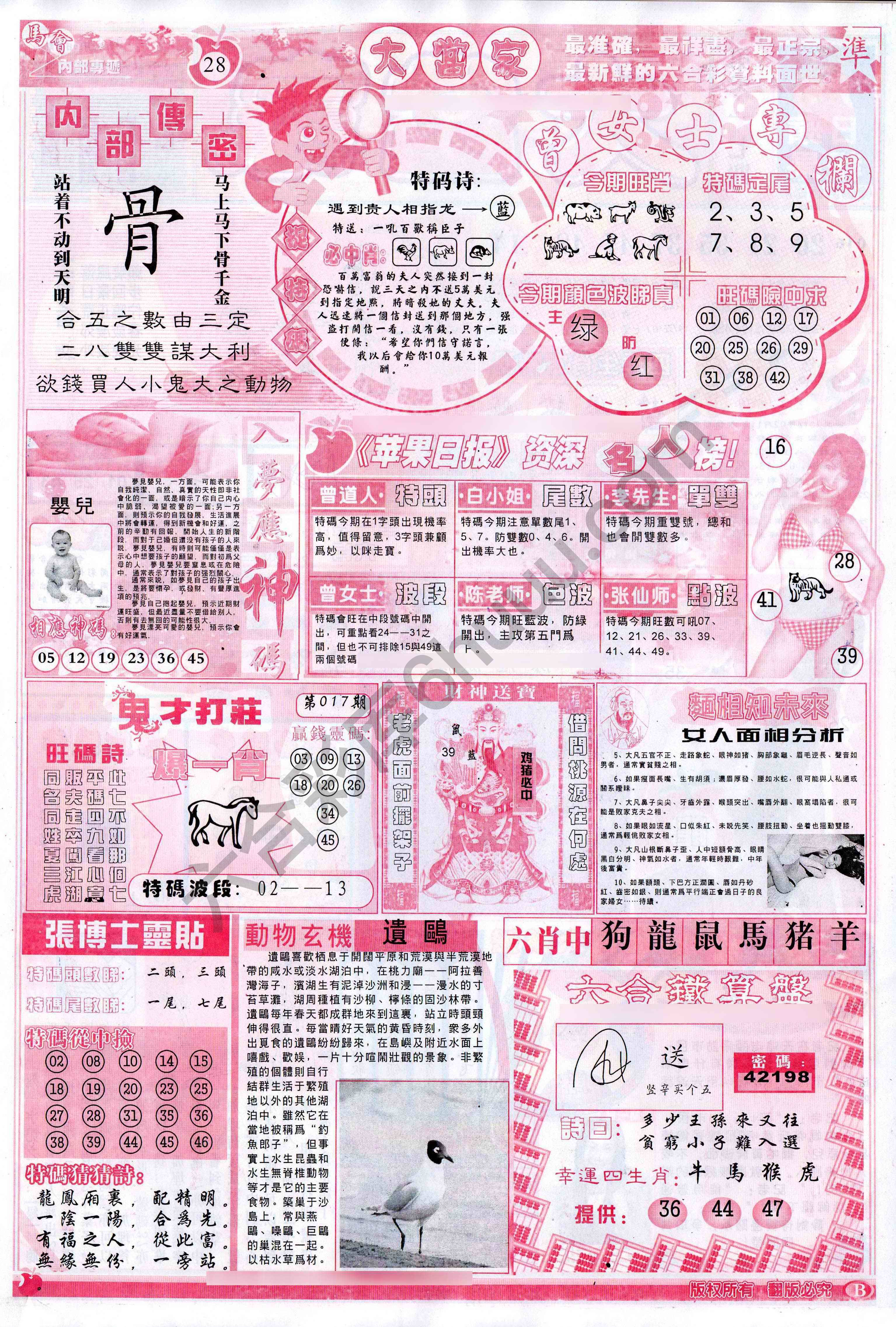 大当家