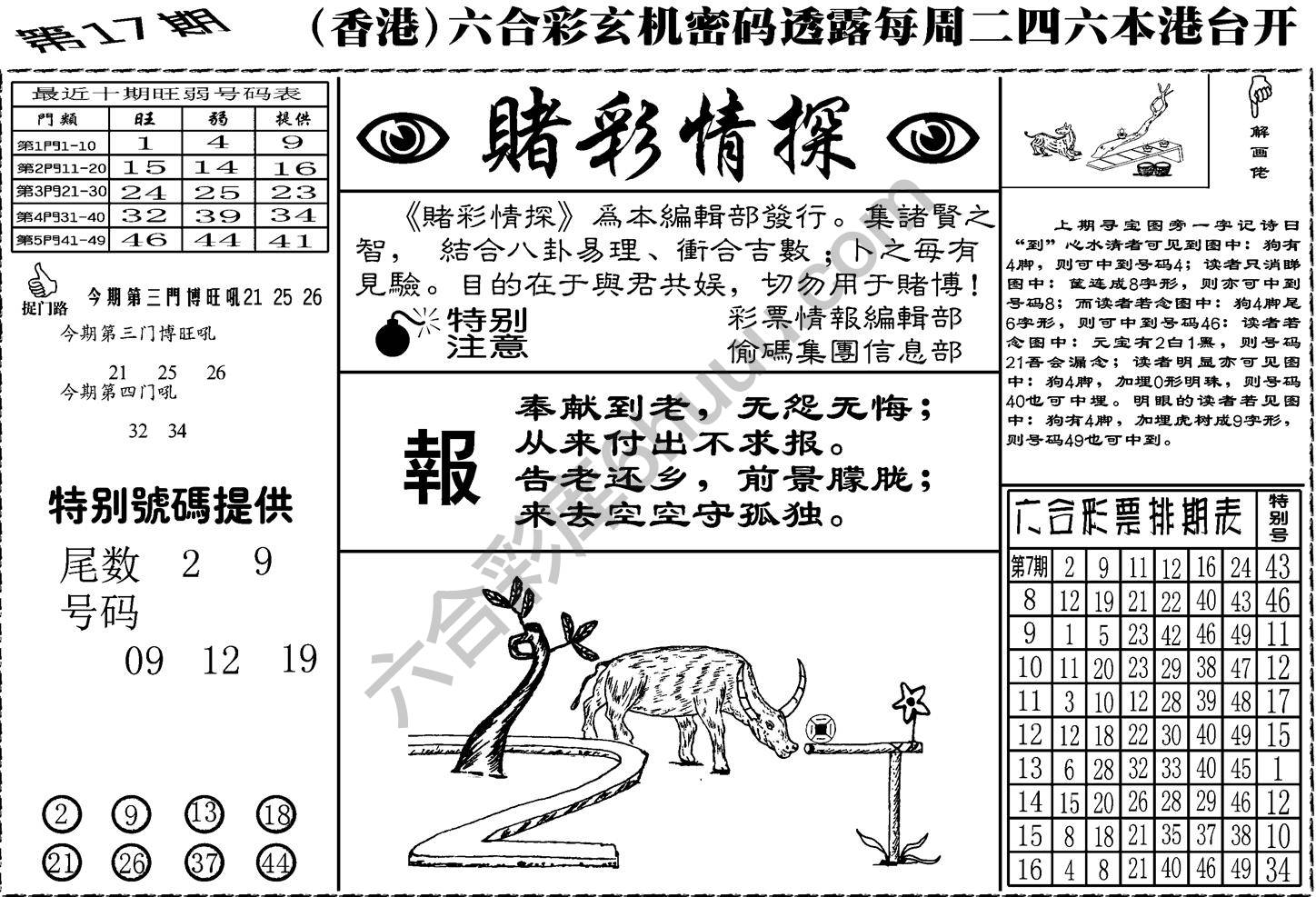 赌彩情探