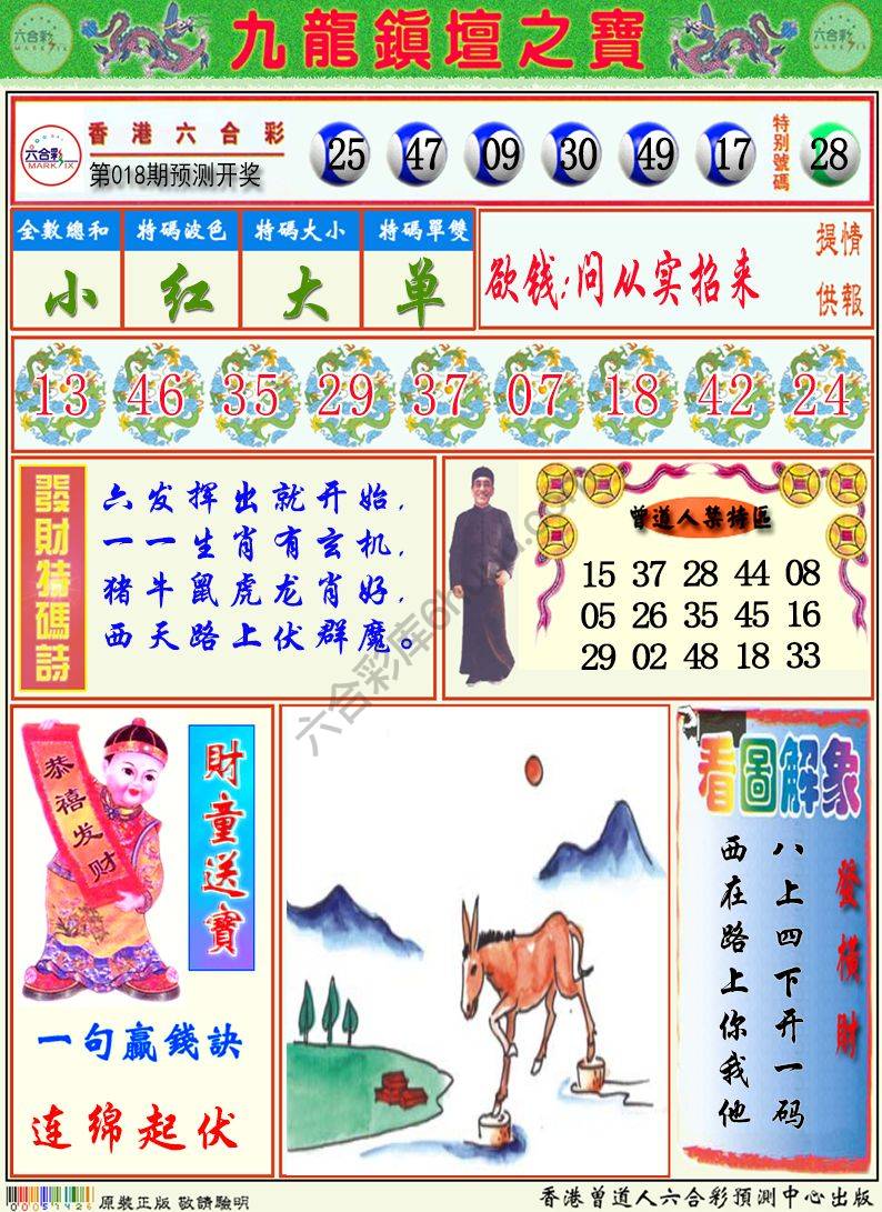 九龙挂牌解特码
