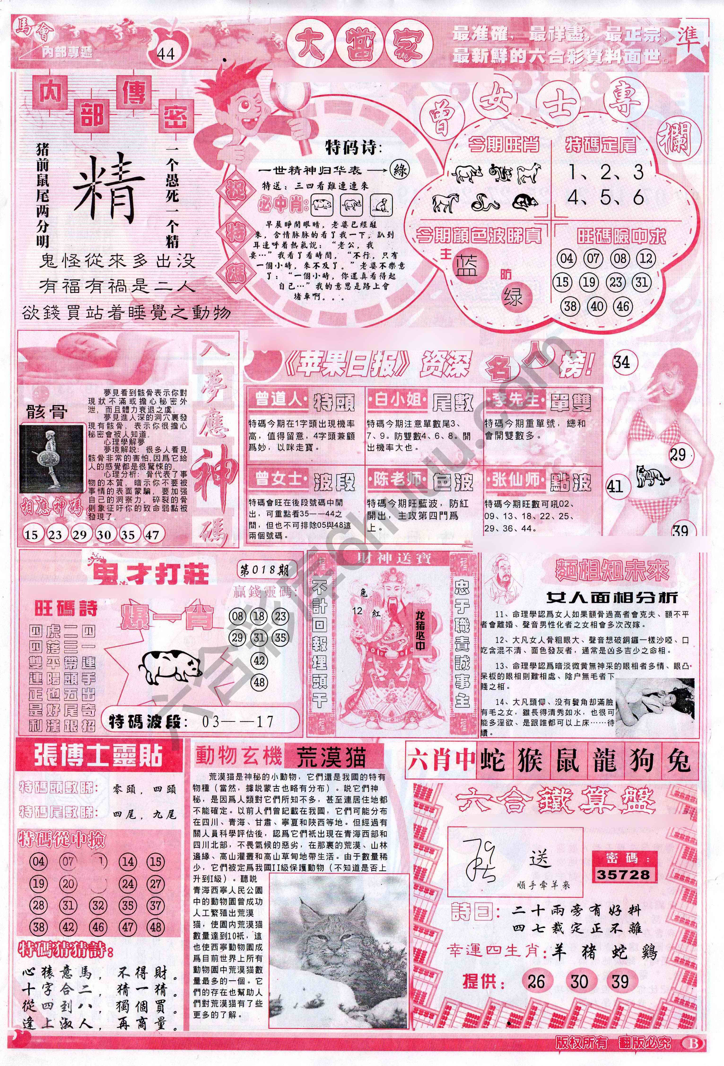 大当家