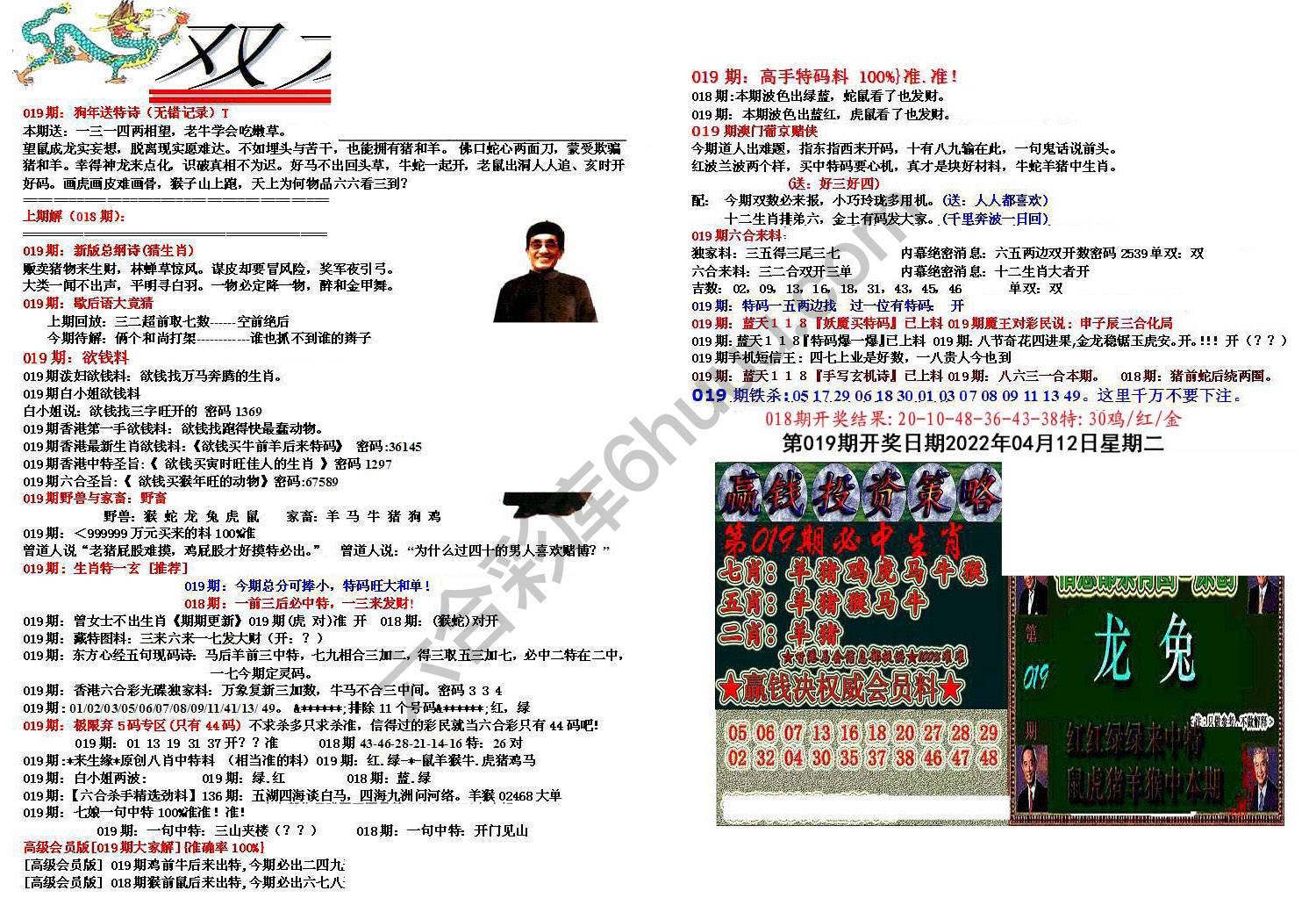 双龙报