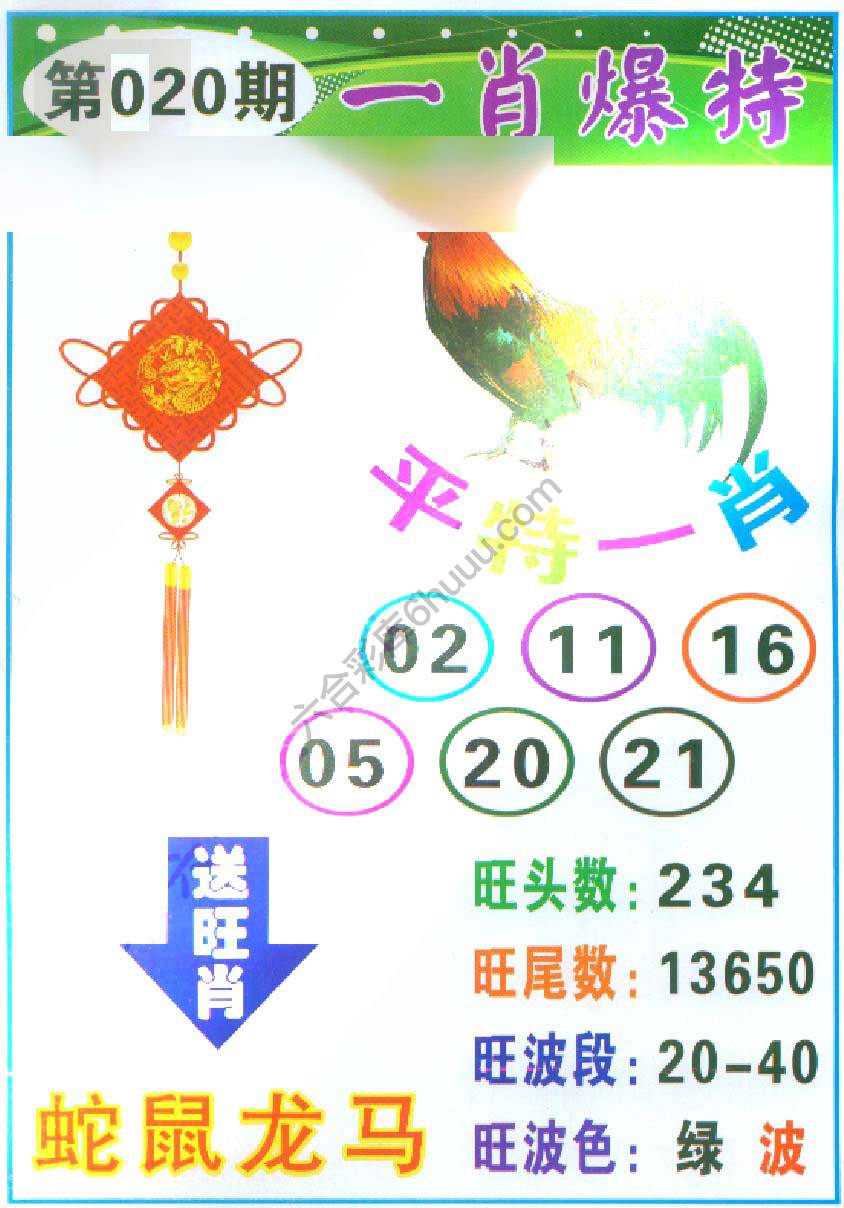 一肖爆特（新版）