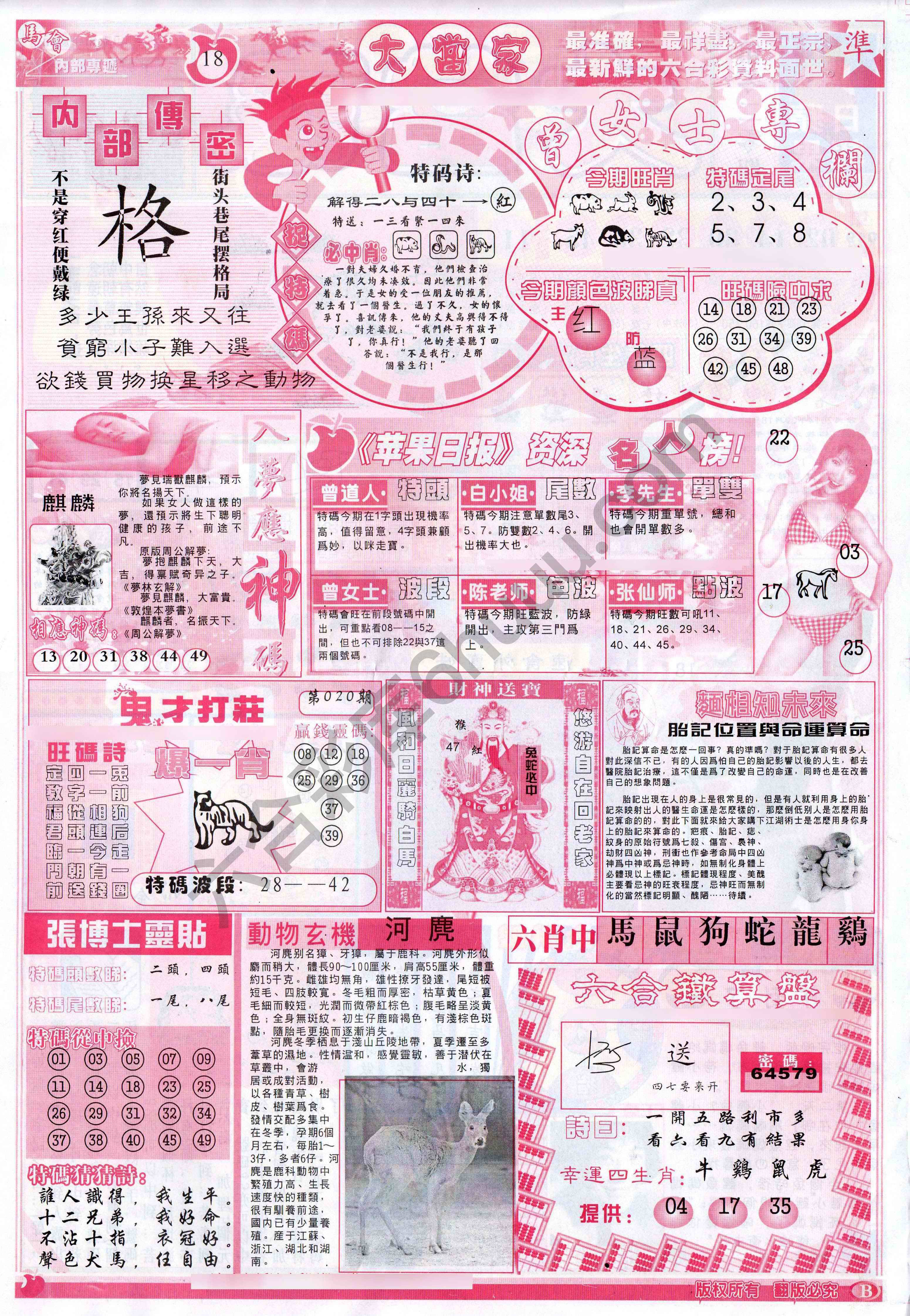 大当家