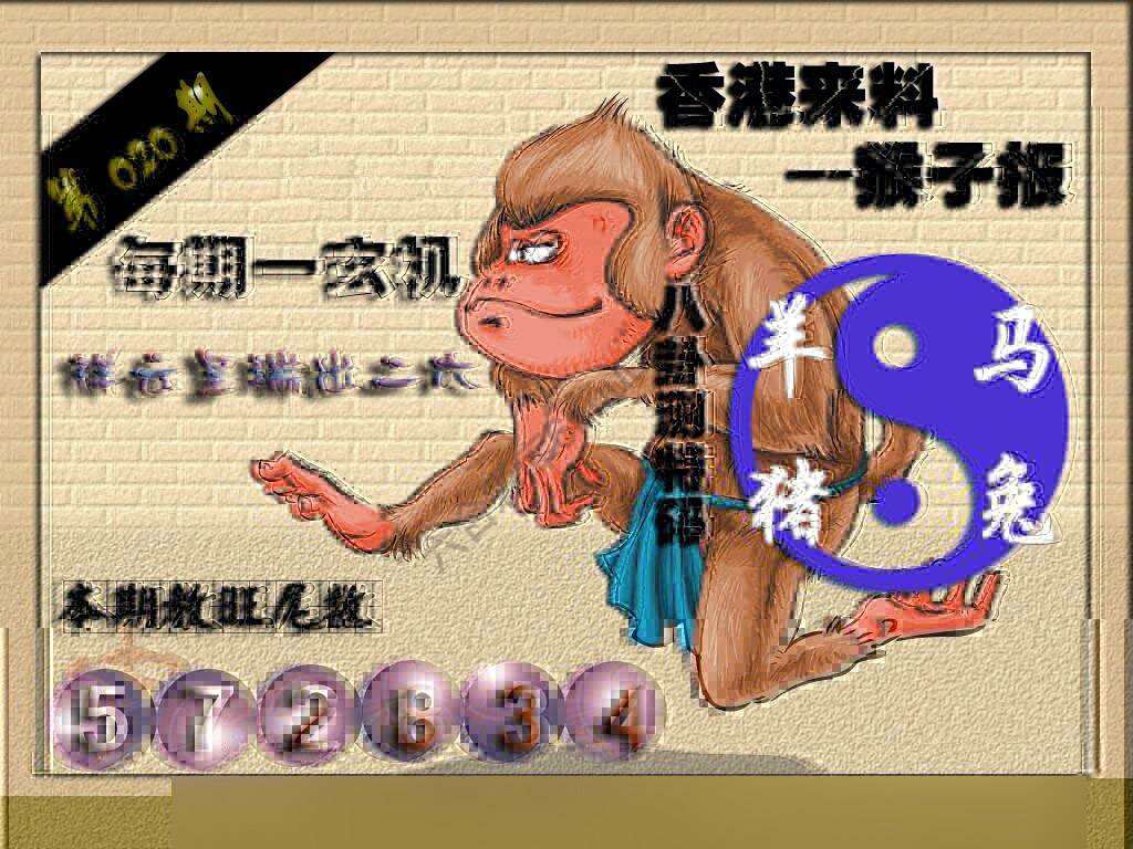 猴子报