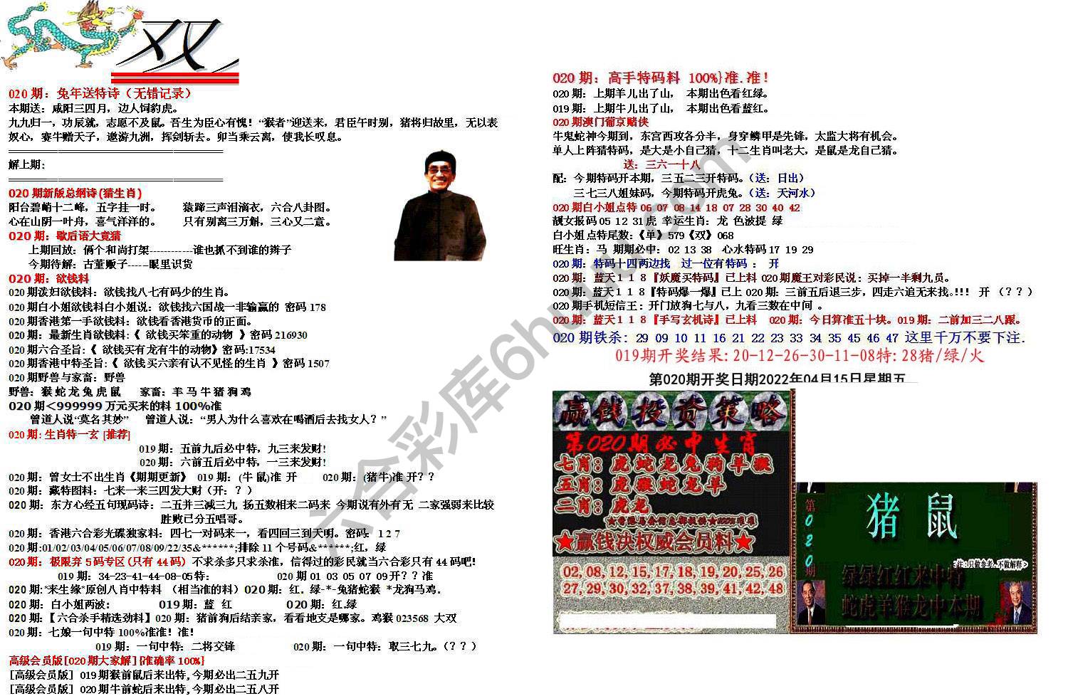 双龙报
