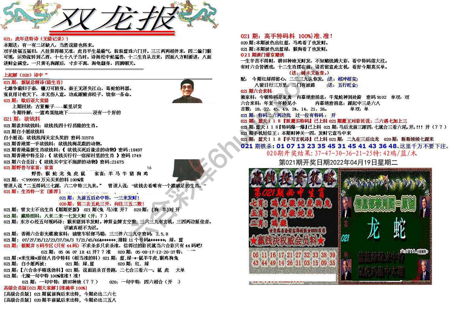 双龙报