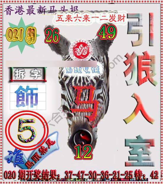 香港马头报