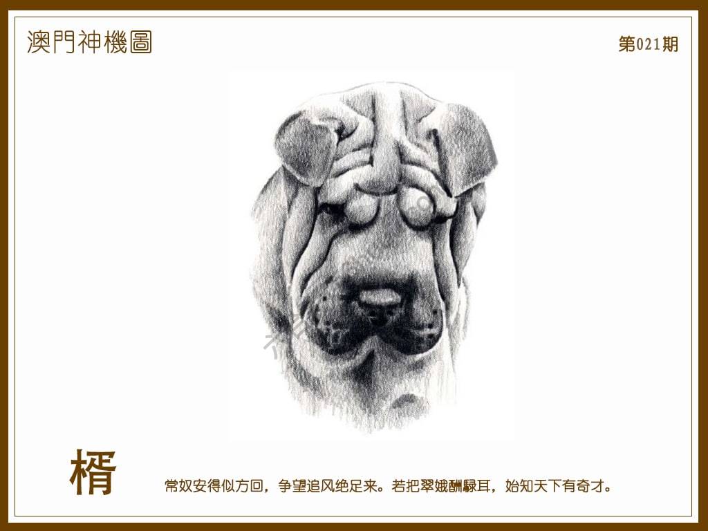 澳门神机图