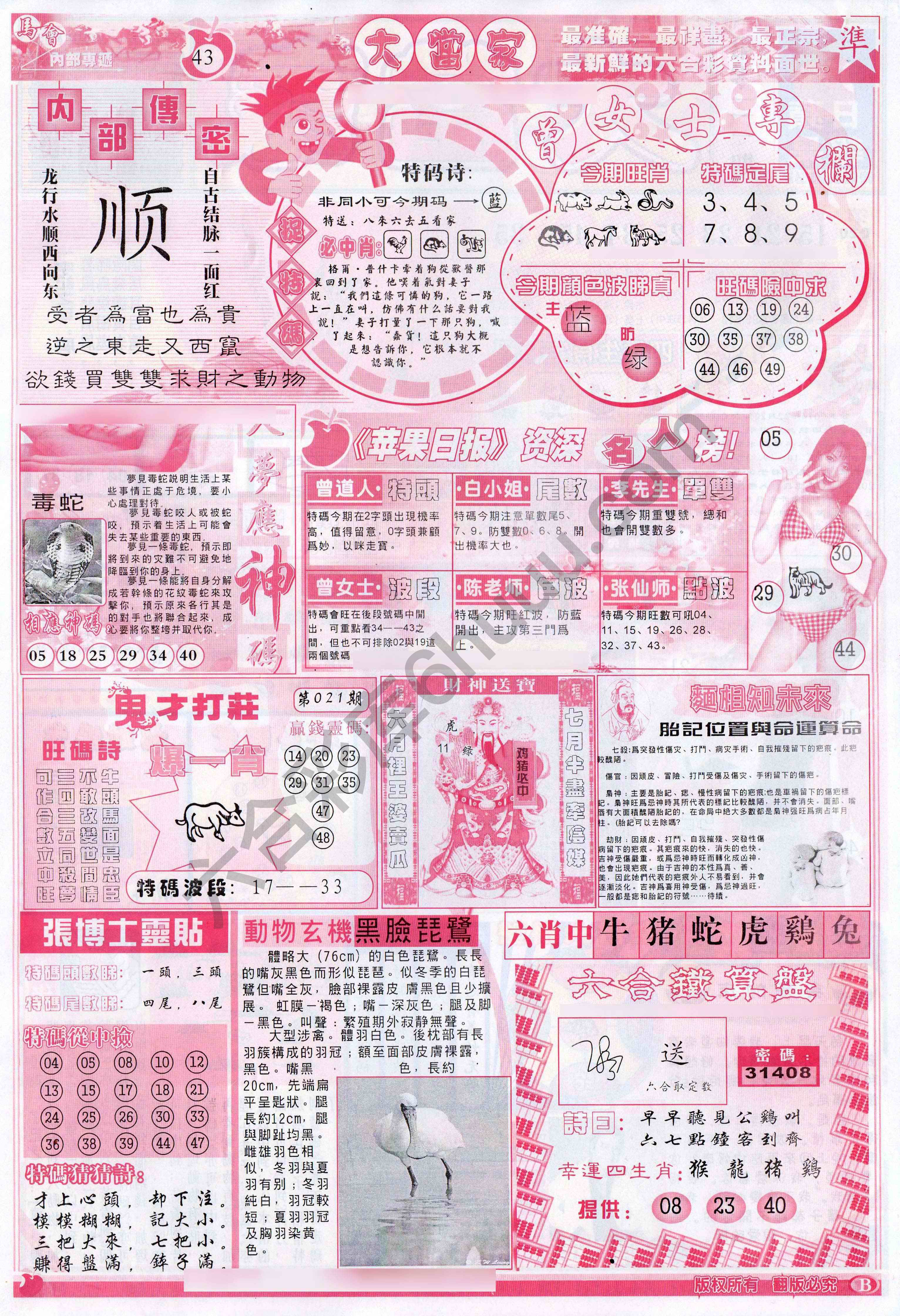 大当家