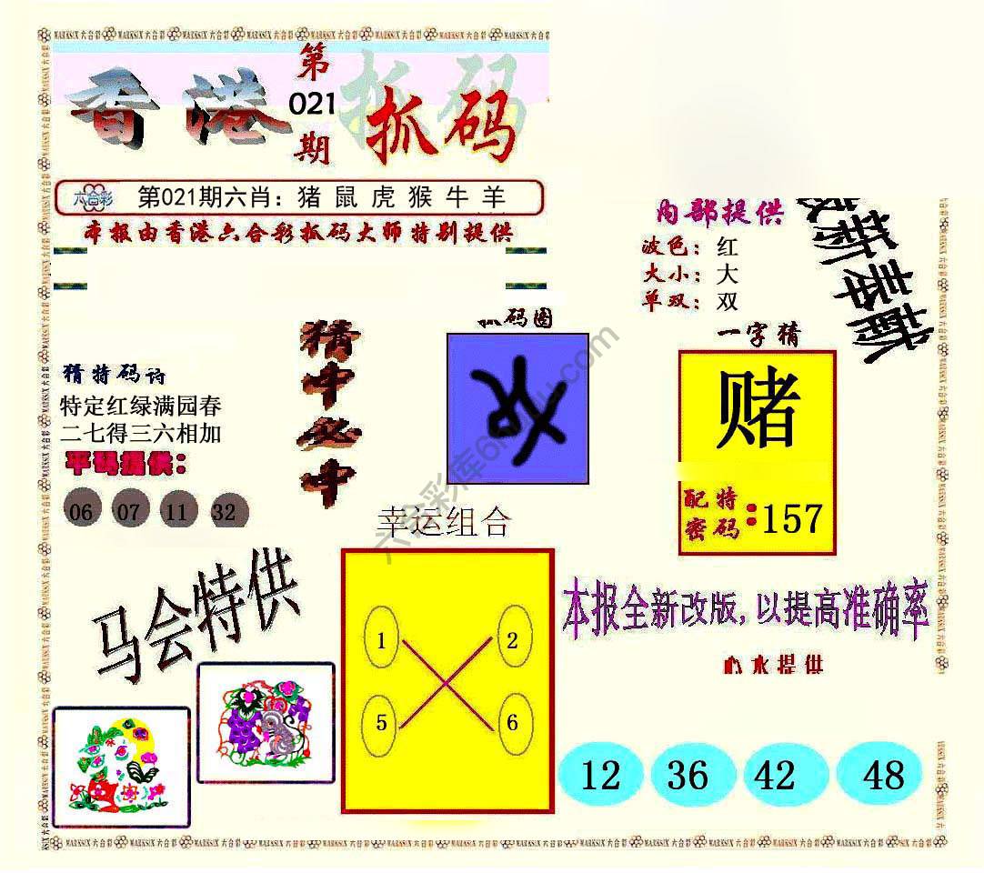 新抓码王