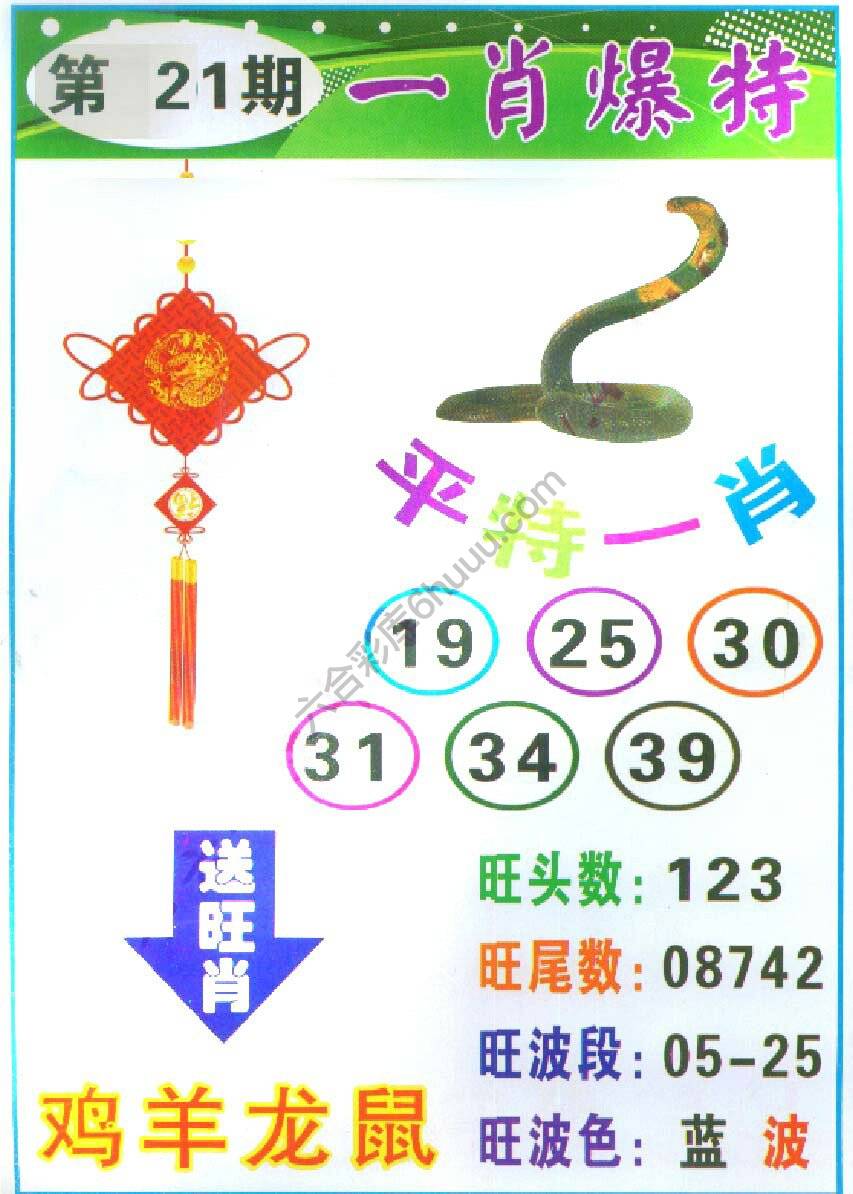 一肖爆特（新版）