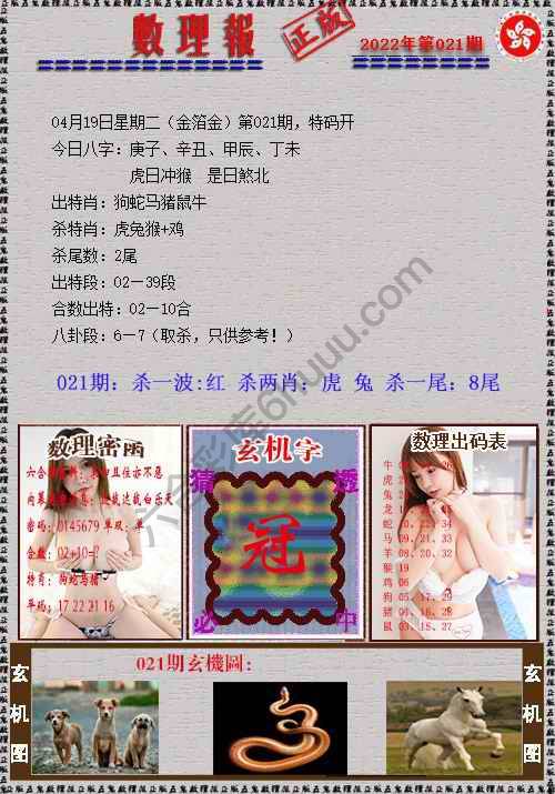 数理报