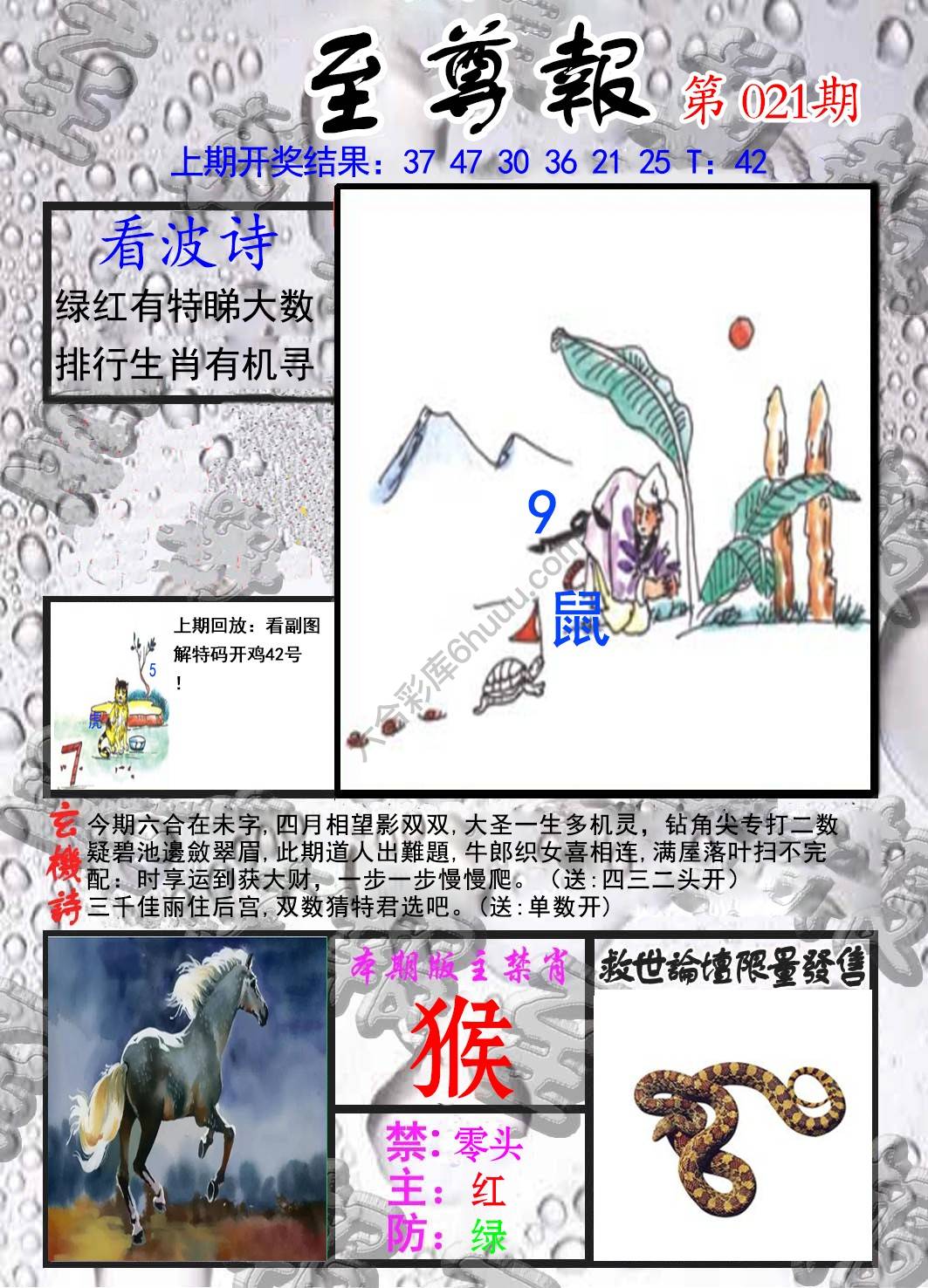 至尊报