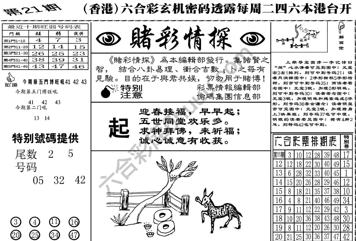 赌彩情探