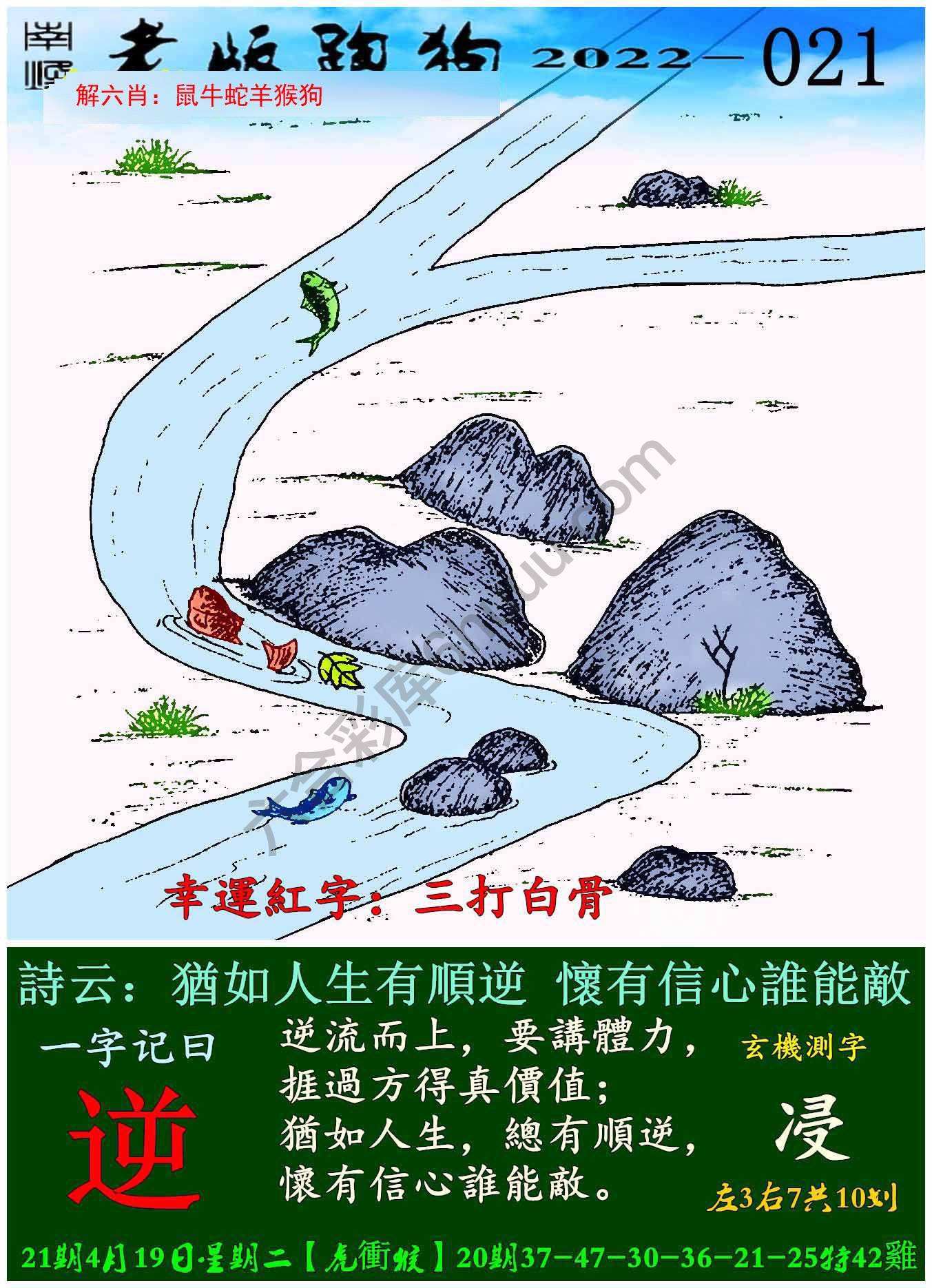 老版跑狗图