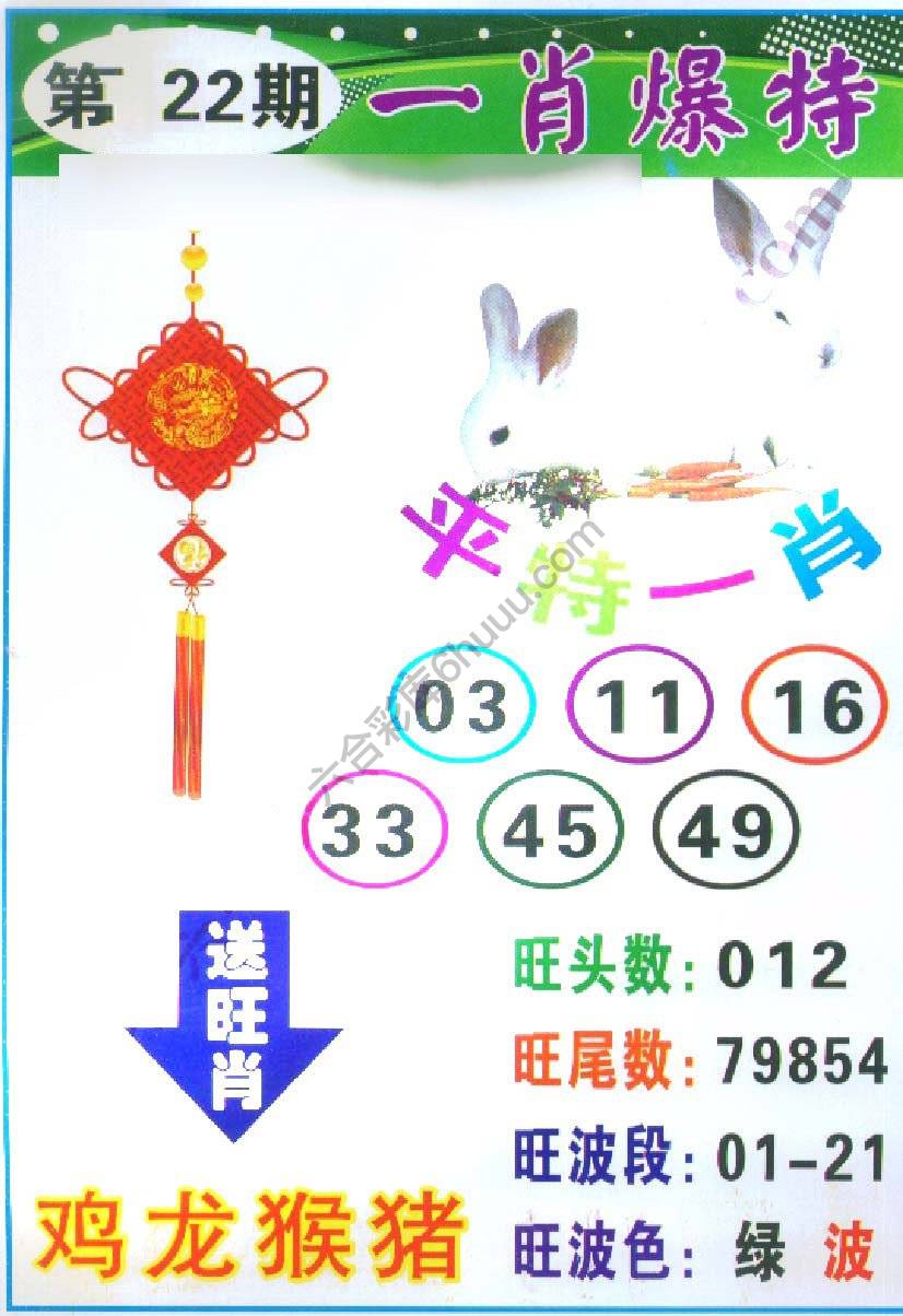 一肖爆特（新版）