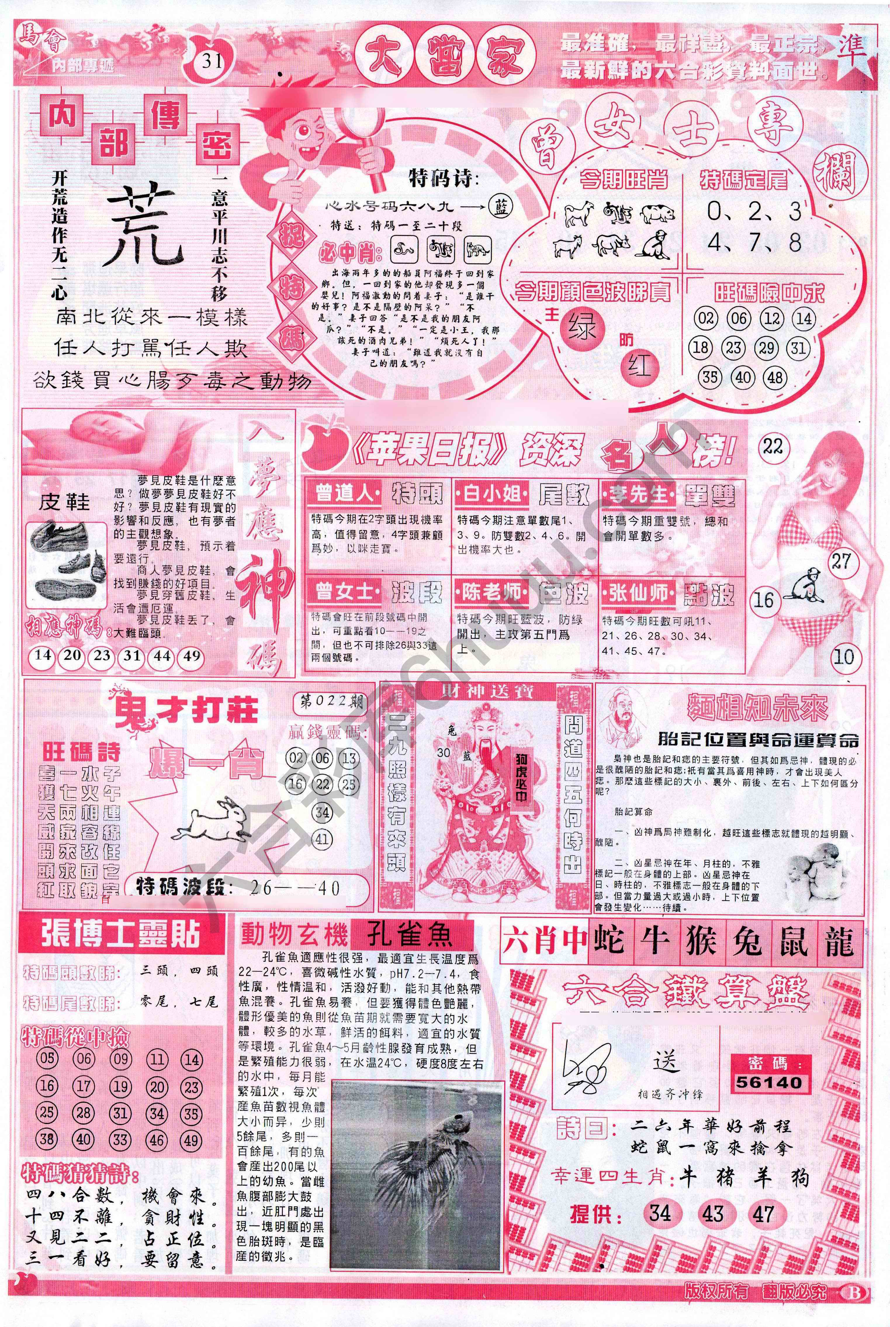 大当家