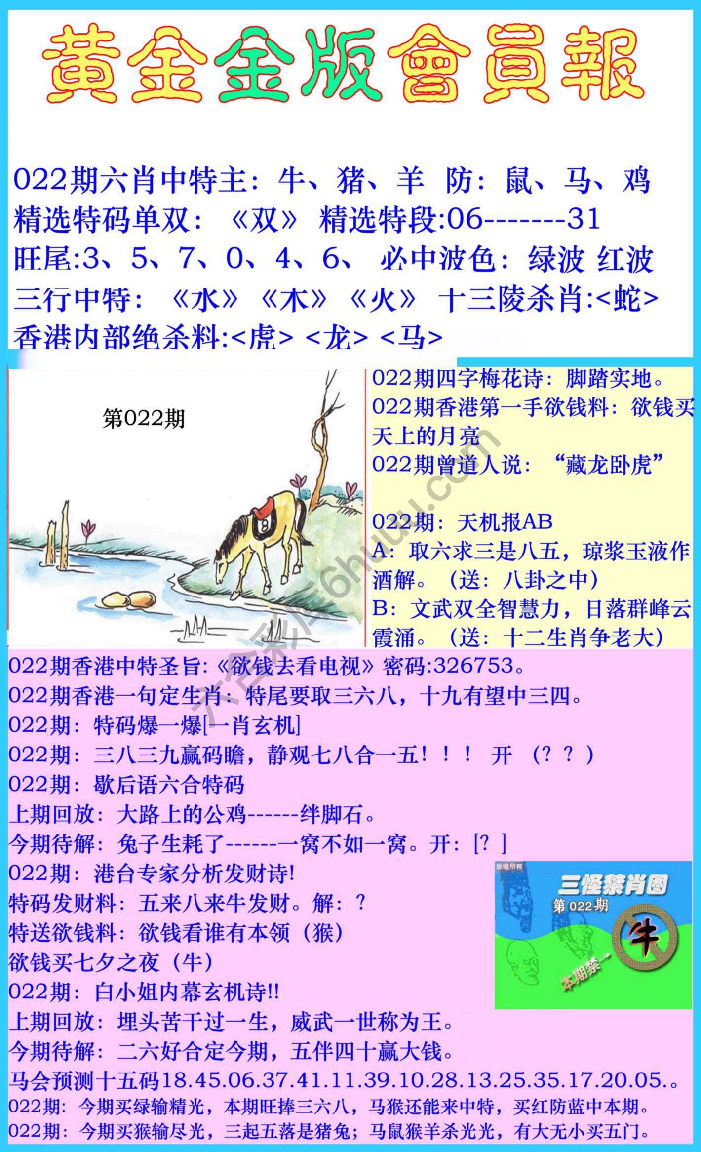 黄金金版会员报