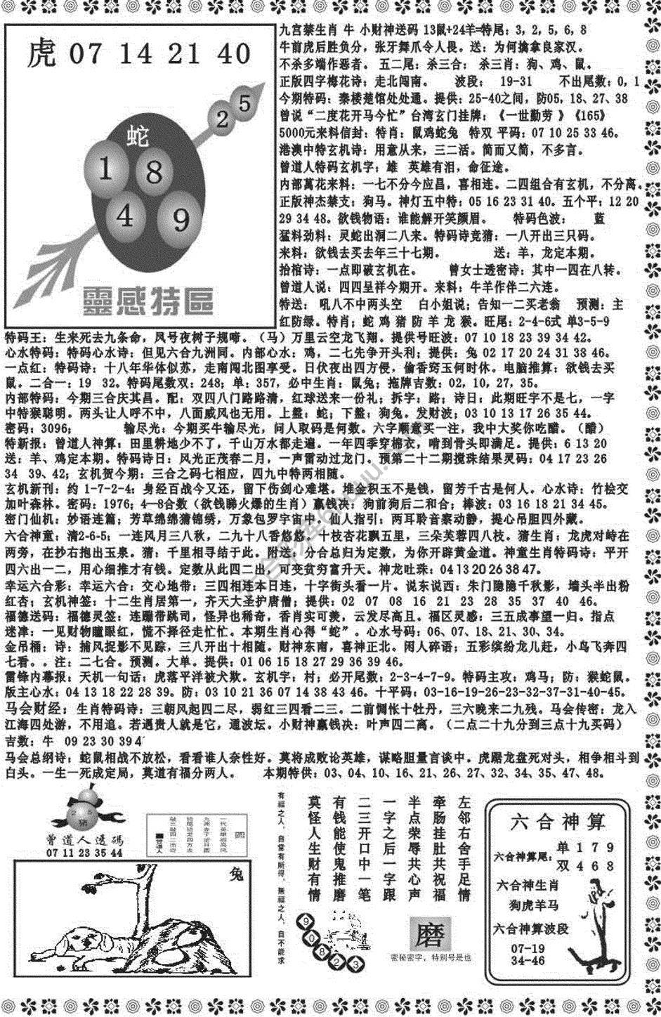 新香港彩霸王