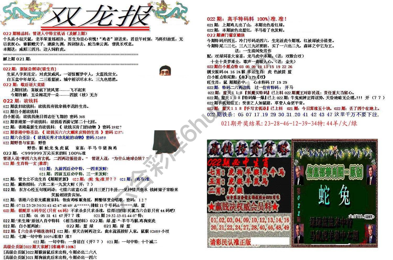 双龙报