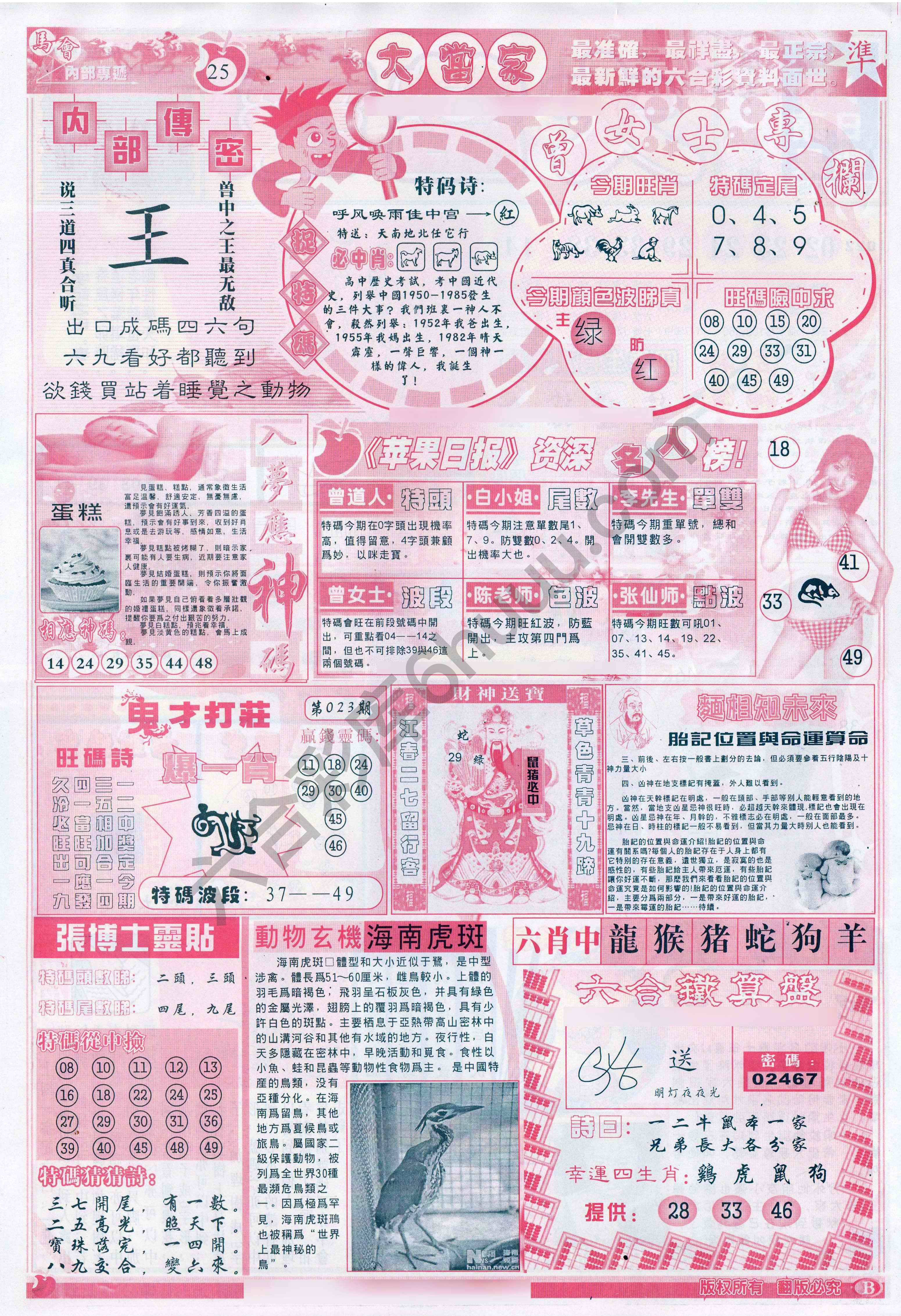 大当家