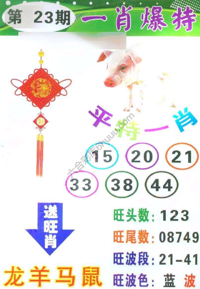 一肖爆特（新版）