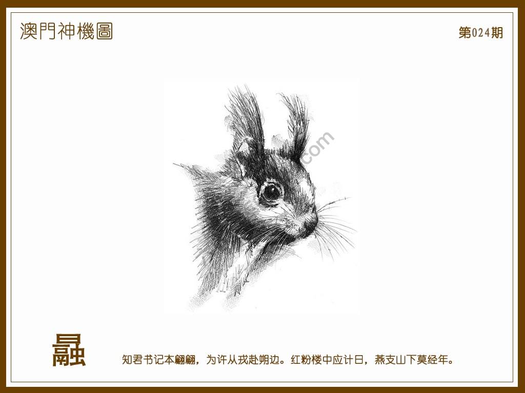 澳门神机图