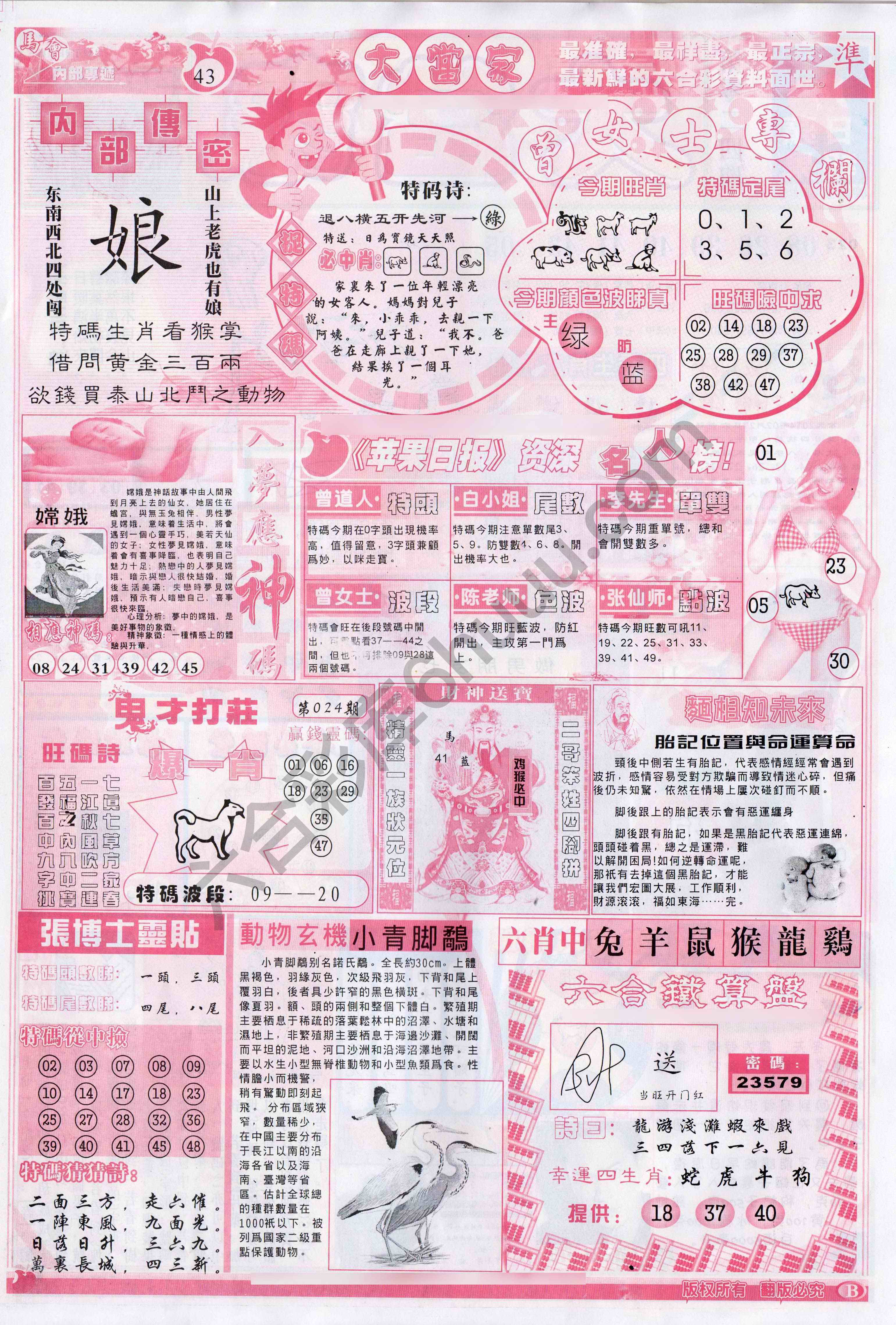 大当家