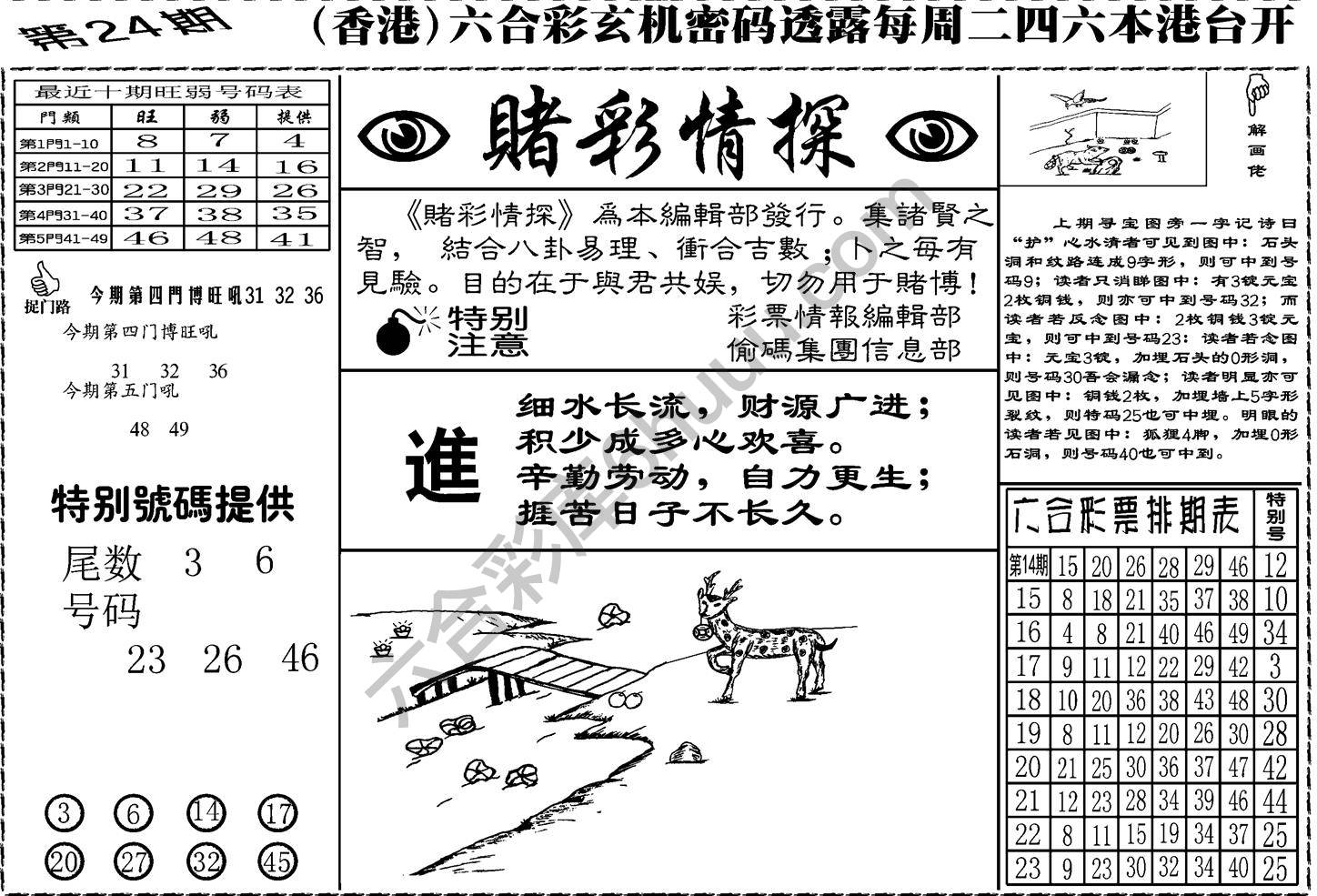 赌彩情探