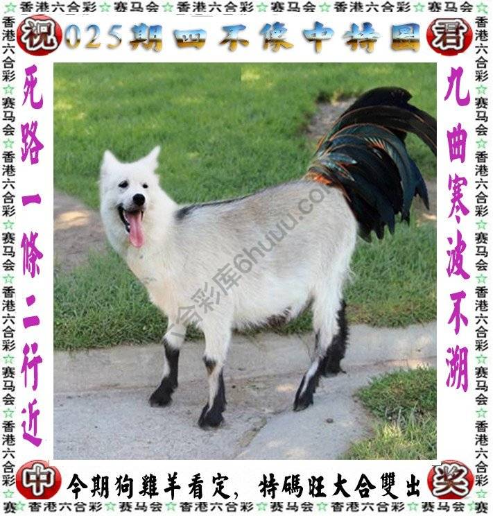 四不像中特图