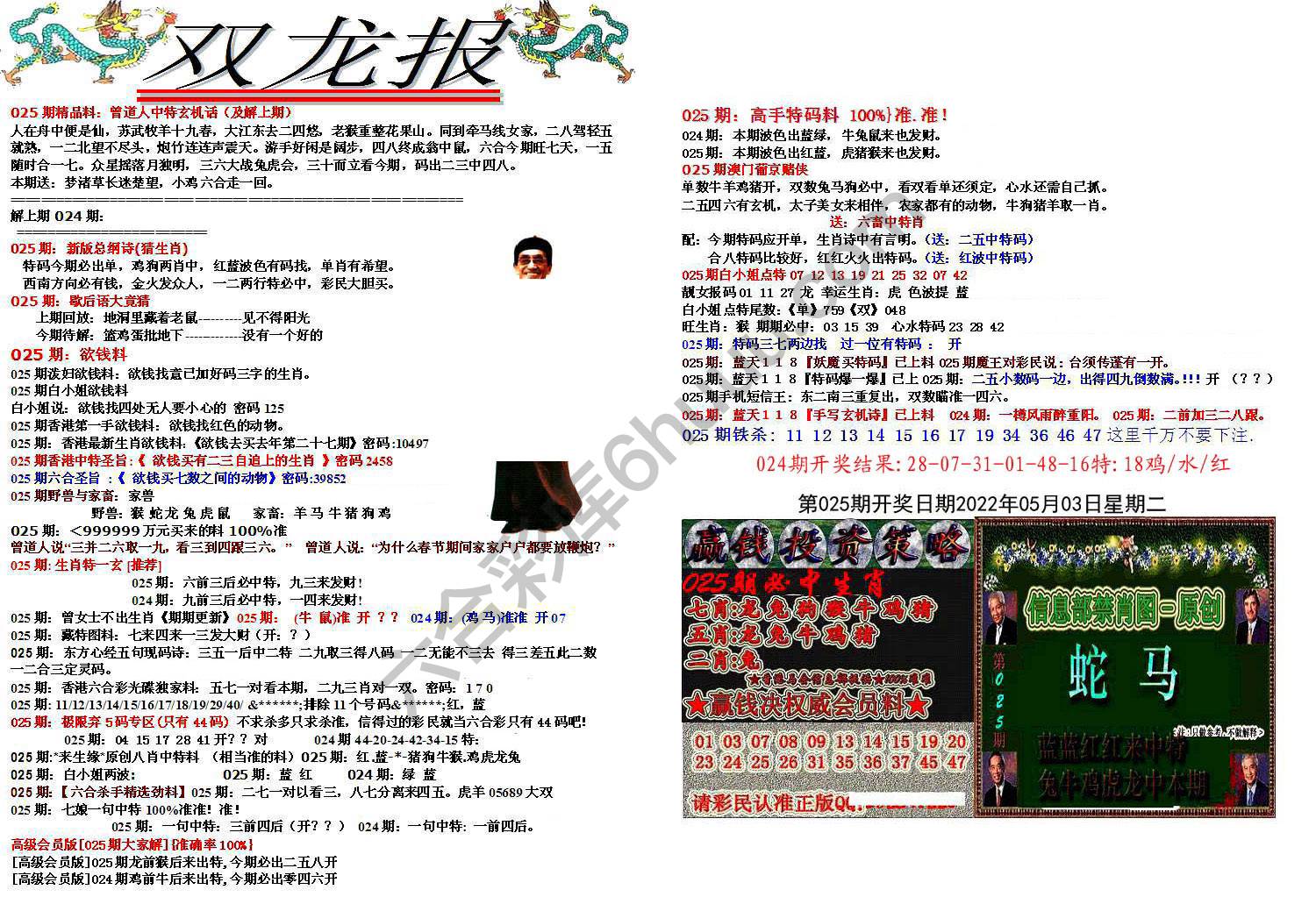 双龙报