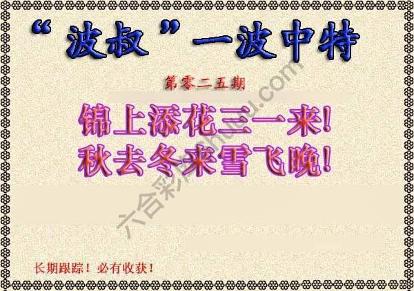 波叔一波中特