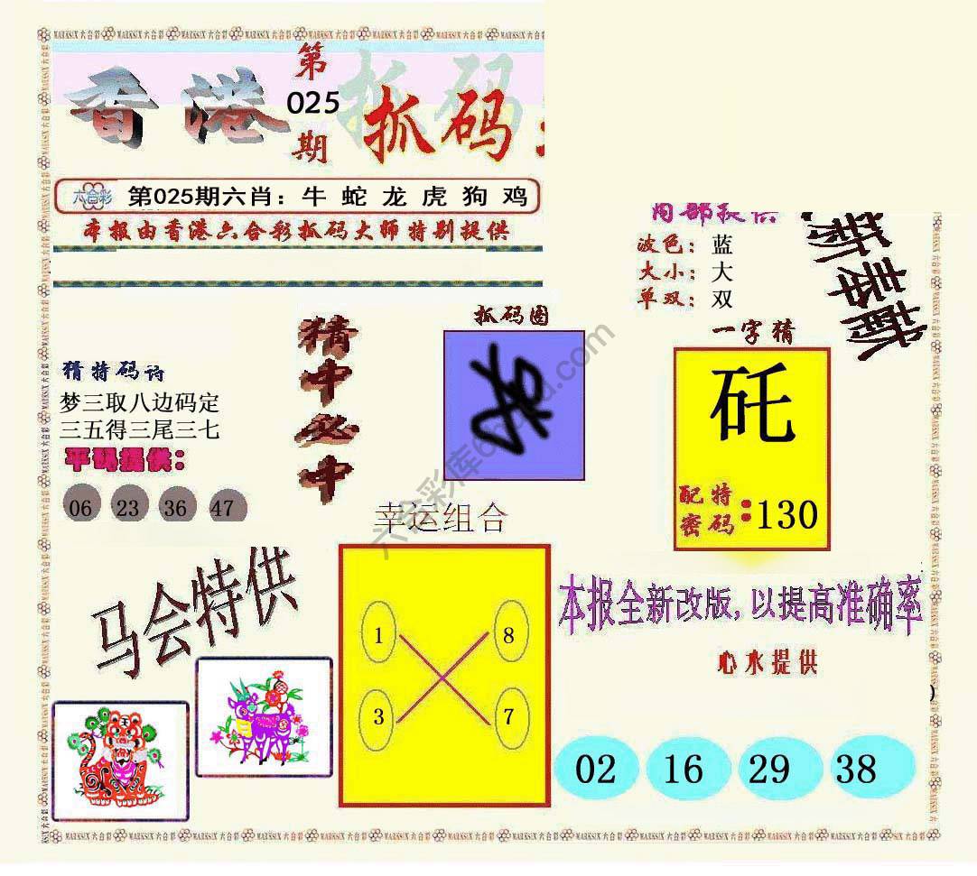 新抓码王