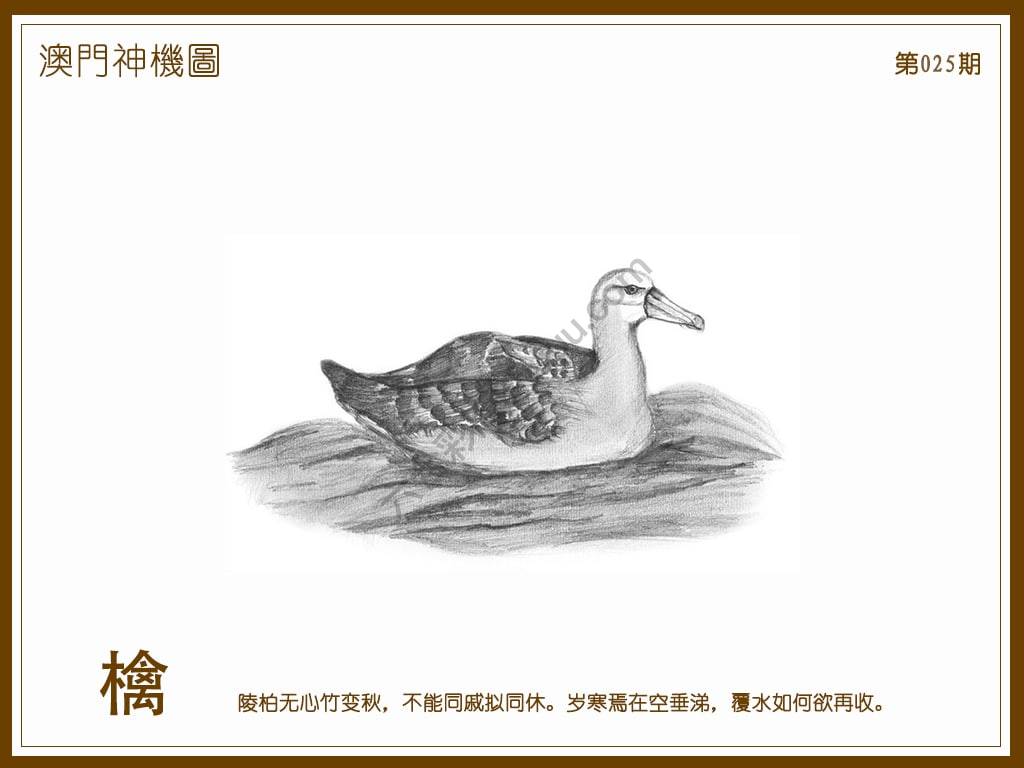 澳门神机图